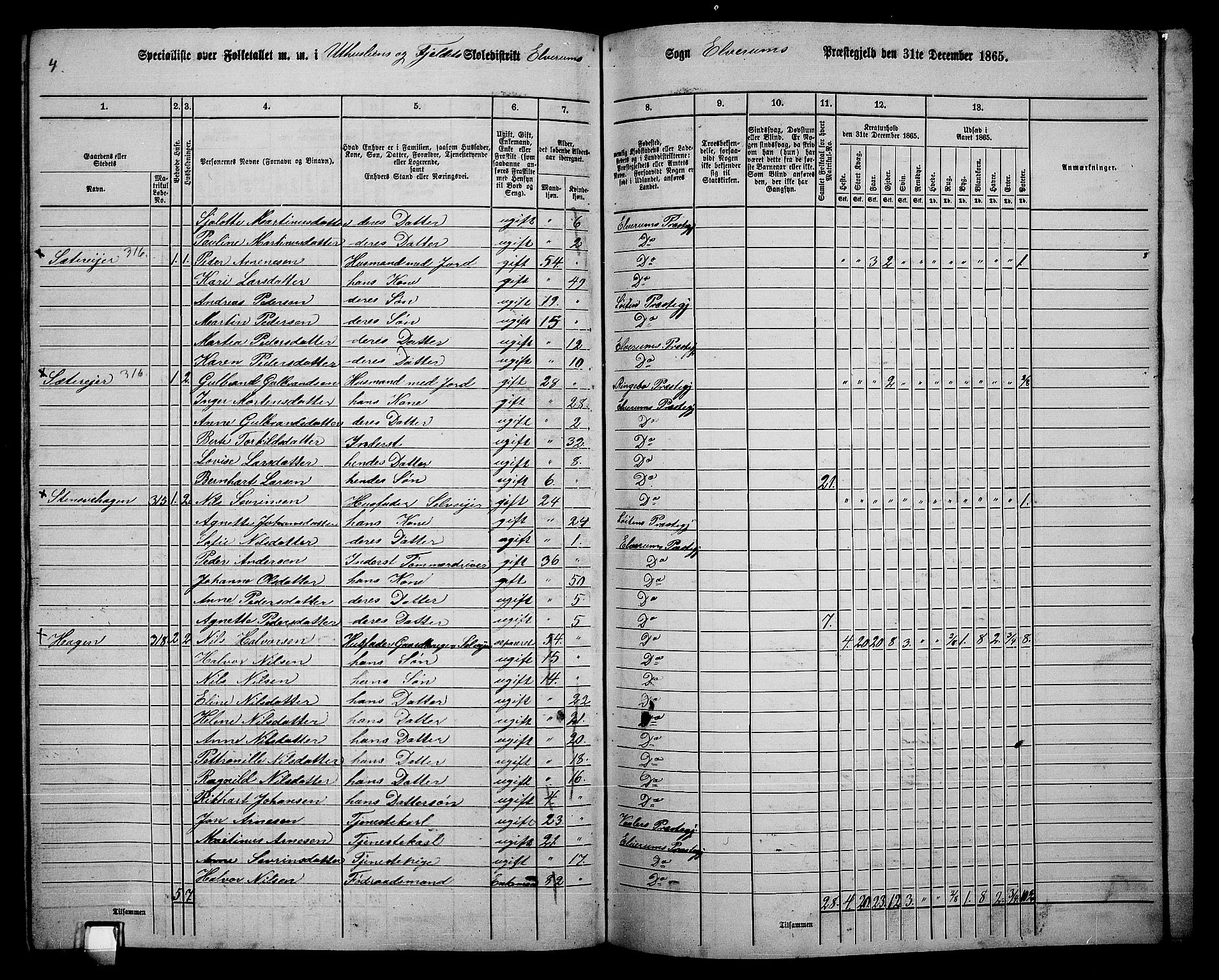 RA, 1865 census for Elverum, 1865, p. 252