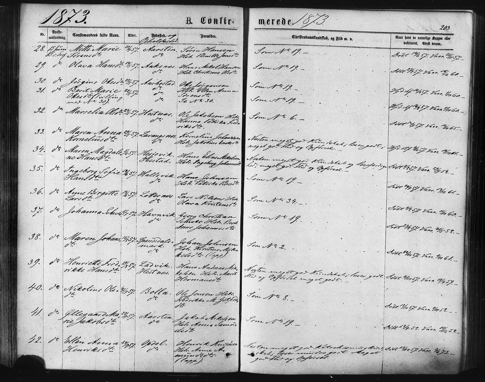 Ibestad sokneprestembete, SATØ/S-0077/H/Ha/Haa/L0010kirke: Parish register (official) no. 10, 1869-1879, p. 203