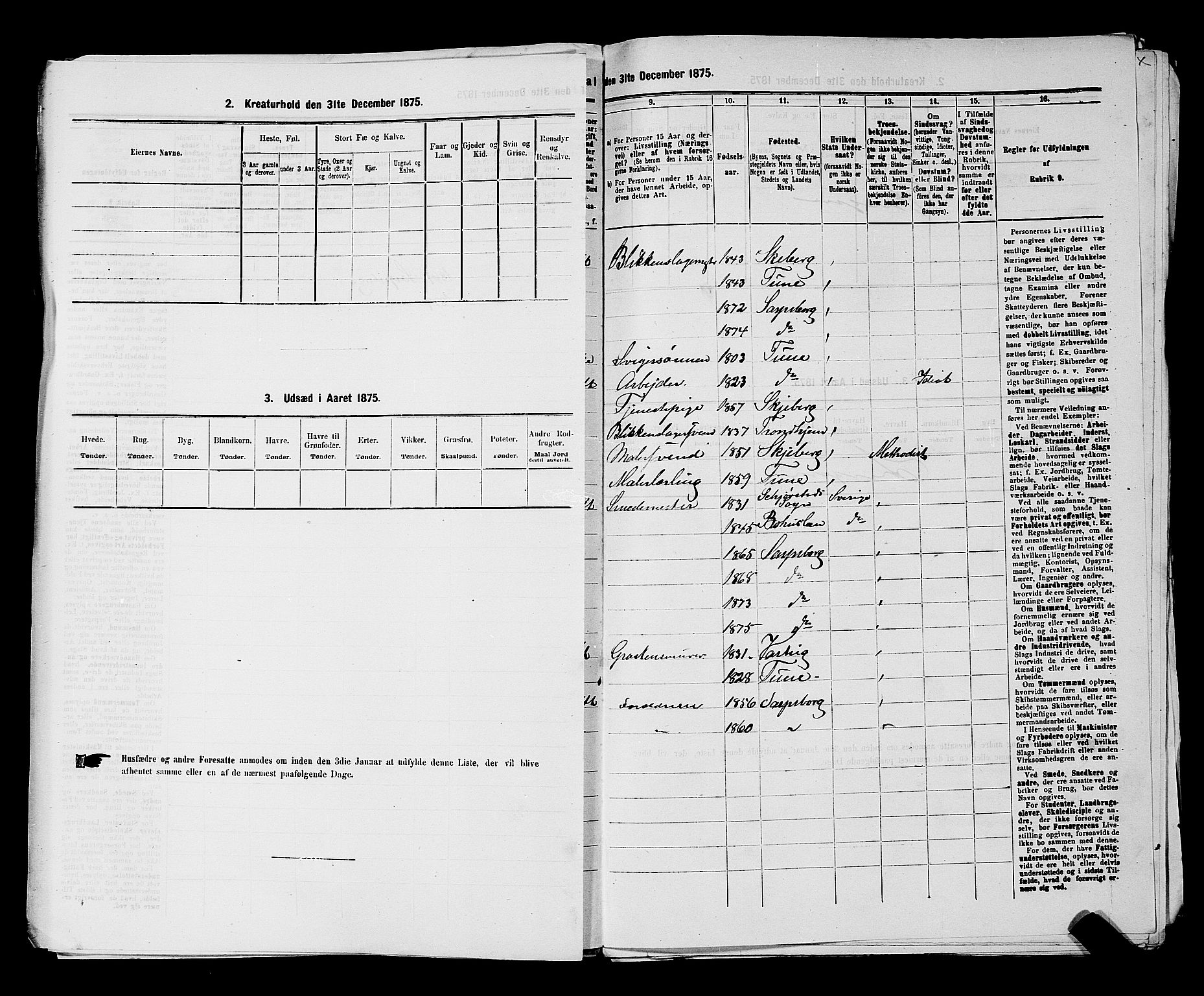 RA, 1875 census for 0102P Sarpsborg, 1875, p. 303