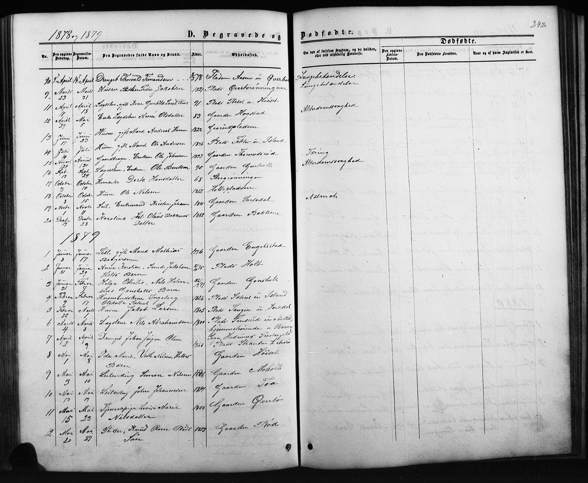 Siljan kirkebøker, SAKO/A-300/G/Ga/L0002: Parish register (copy) no. 2, 1864-1908, p. 242