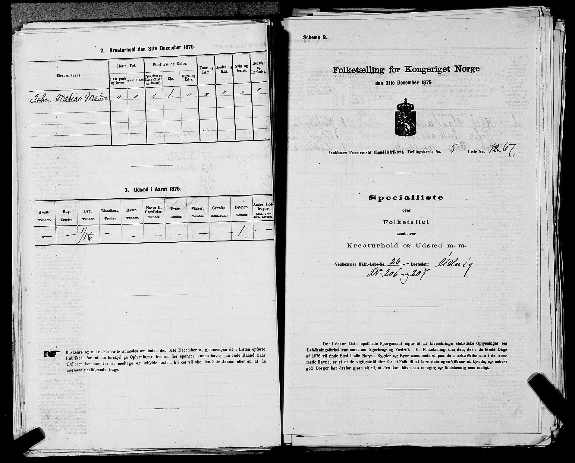 SAST, 1875 census for 1147L Avaldsnes/Avaldsnes og Kopervik, 1875, p. 806