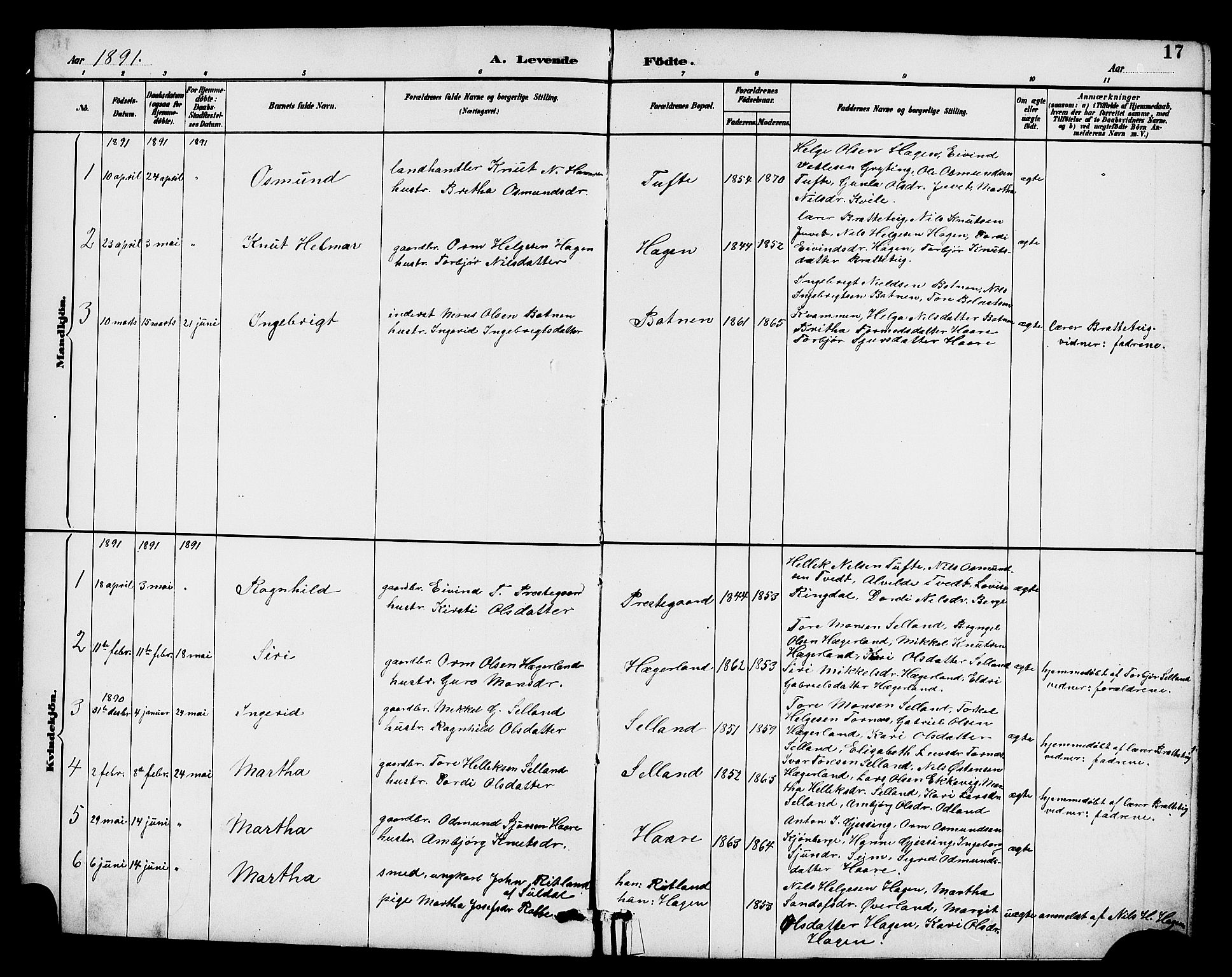 Røldal sokneprestembete, SAB/A-100247: Parish register (copy) no. A 3, 1887-1917, p. 17