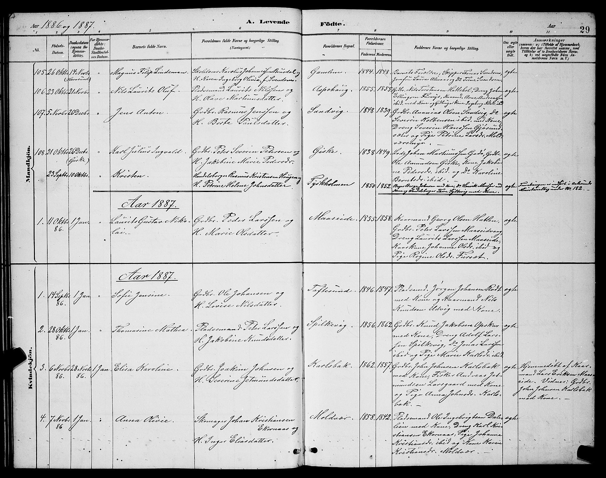 Ministerialprotokoller, klokkerbøker og fødselsregistre - Møre og Romsdal, AV/SAT-A-1454/528/L0431: Parish register (copy) no. 528C12, 1885-1898, p. 29