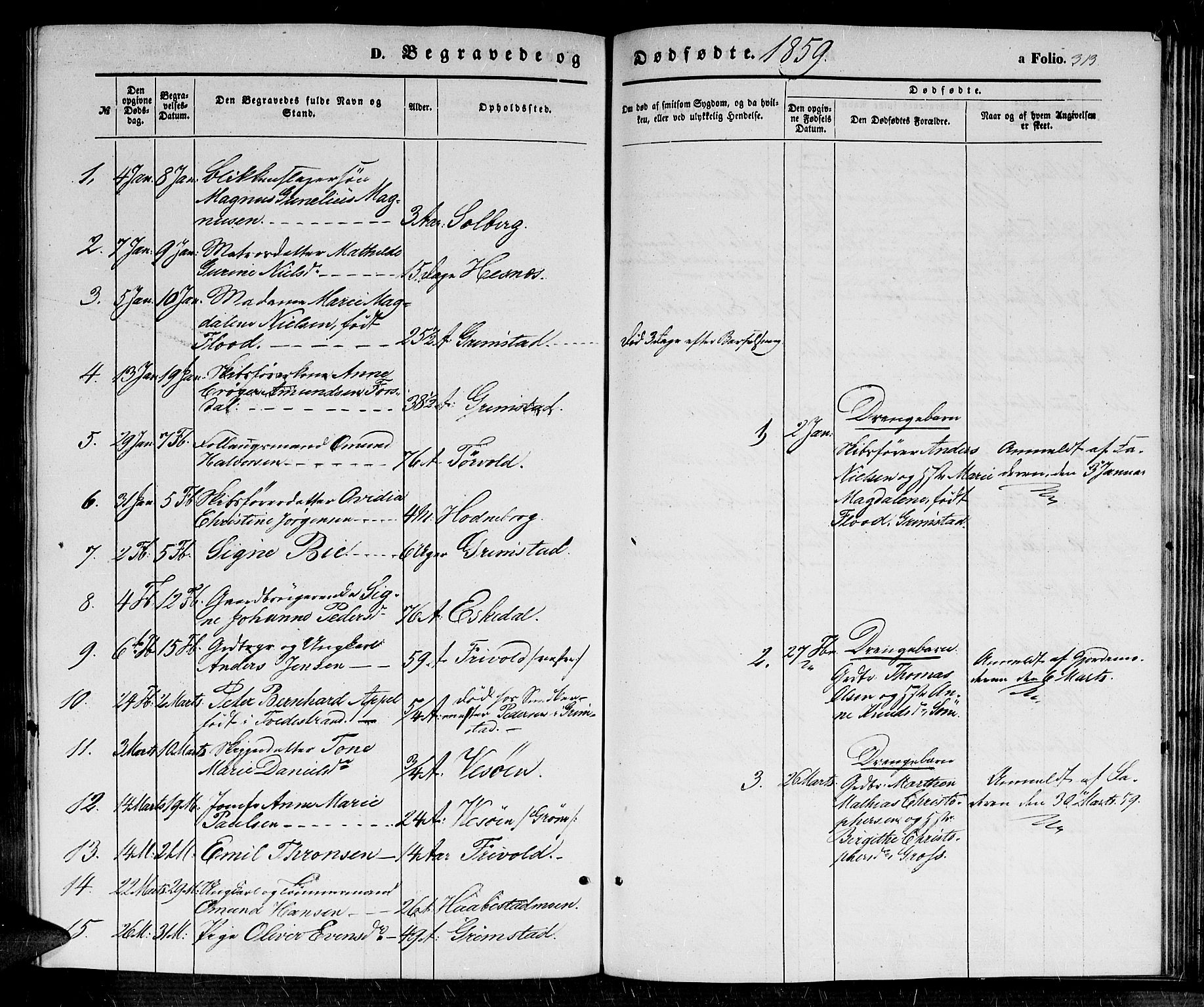 Fjære sokneprestkontor, SAK/1111-0011/F/Fb/L0008: Parish register (copy) no. B 8, 1854-1867, p. 313