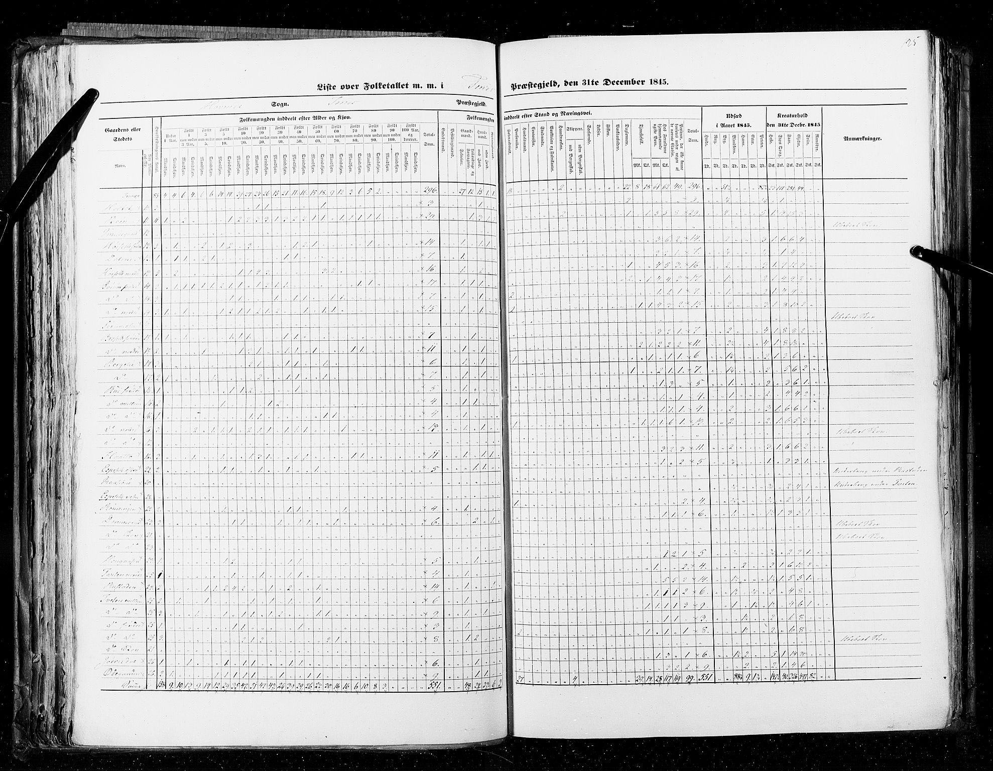 RA, Census 1845, vol. 5: Bratsberg amt og Nedenes og Råbyggelaget amt, 1845, p. 125