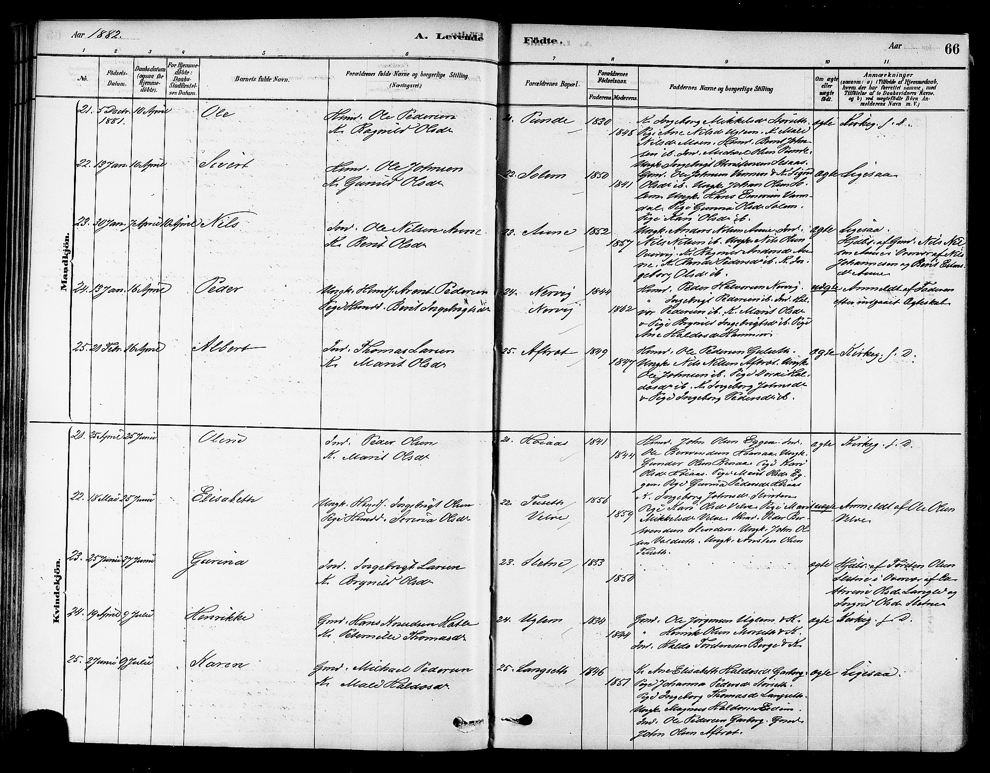 Ministerialprotokoller, klokkerbøker og fødselsregistre - Sør-Trøndelag, AV/SAT-A-1456/695/L1148: Parish register (official) no. 695A08, 1878-1891, p. 66