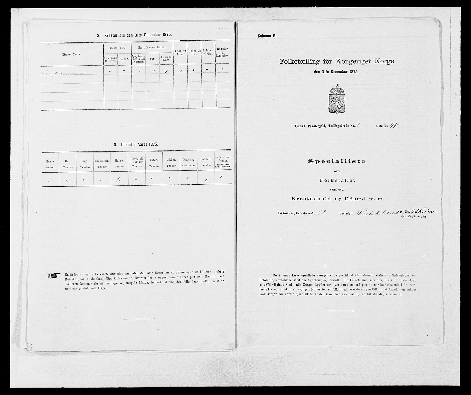 SAB, 1875 census for 1223P Tysnes, 1875, p. 216