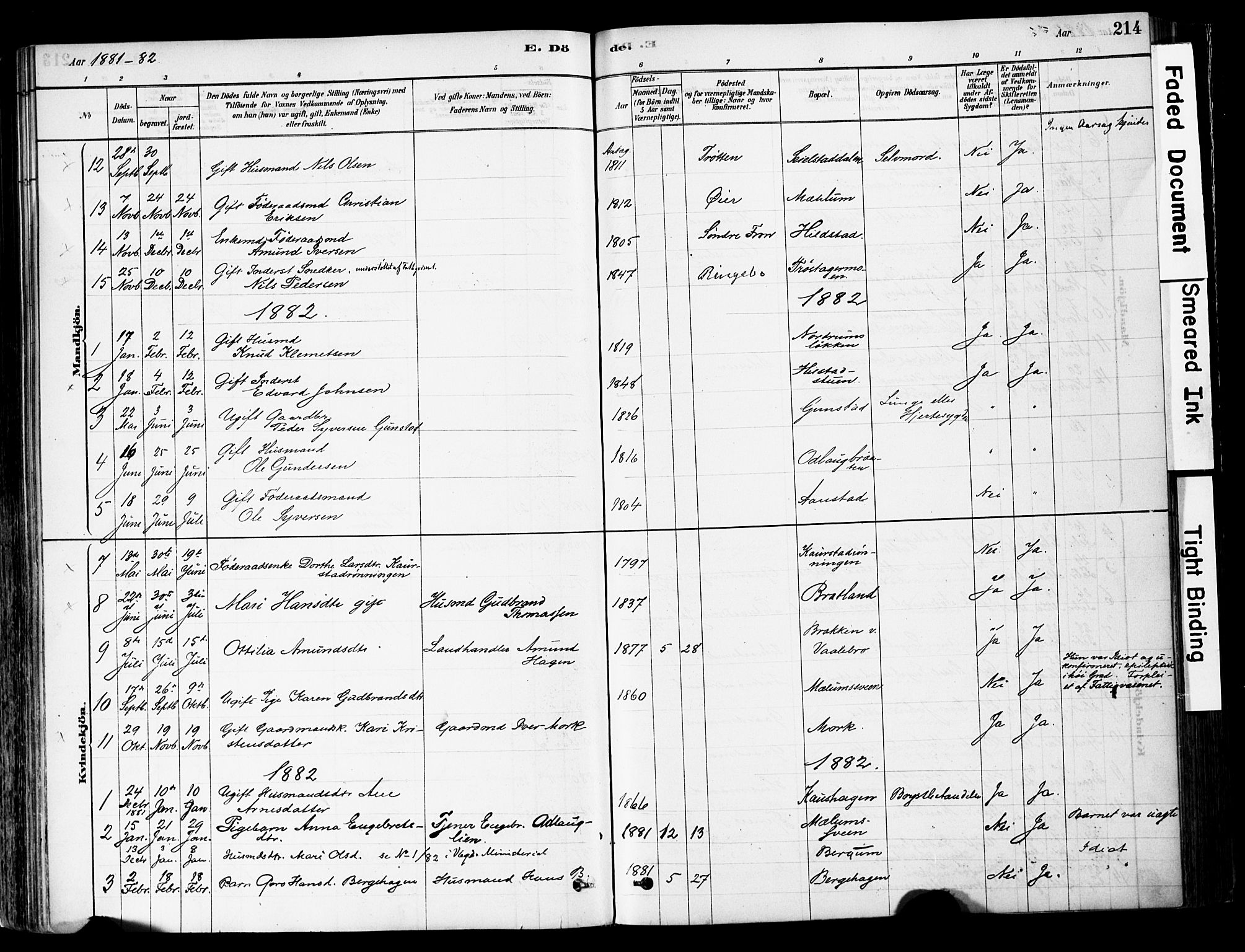Ringebu prestekontor, SAH/PREST-082/H/Ha/Haa/L0008: Parish register (official) no. 8, 1878-1898, p. 214