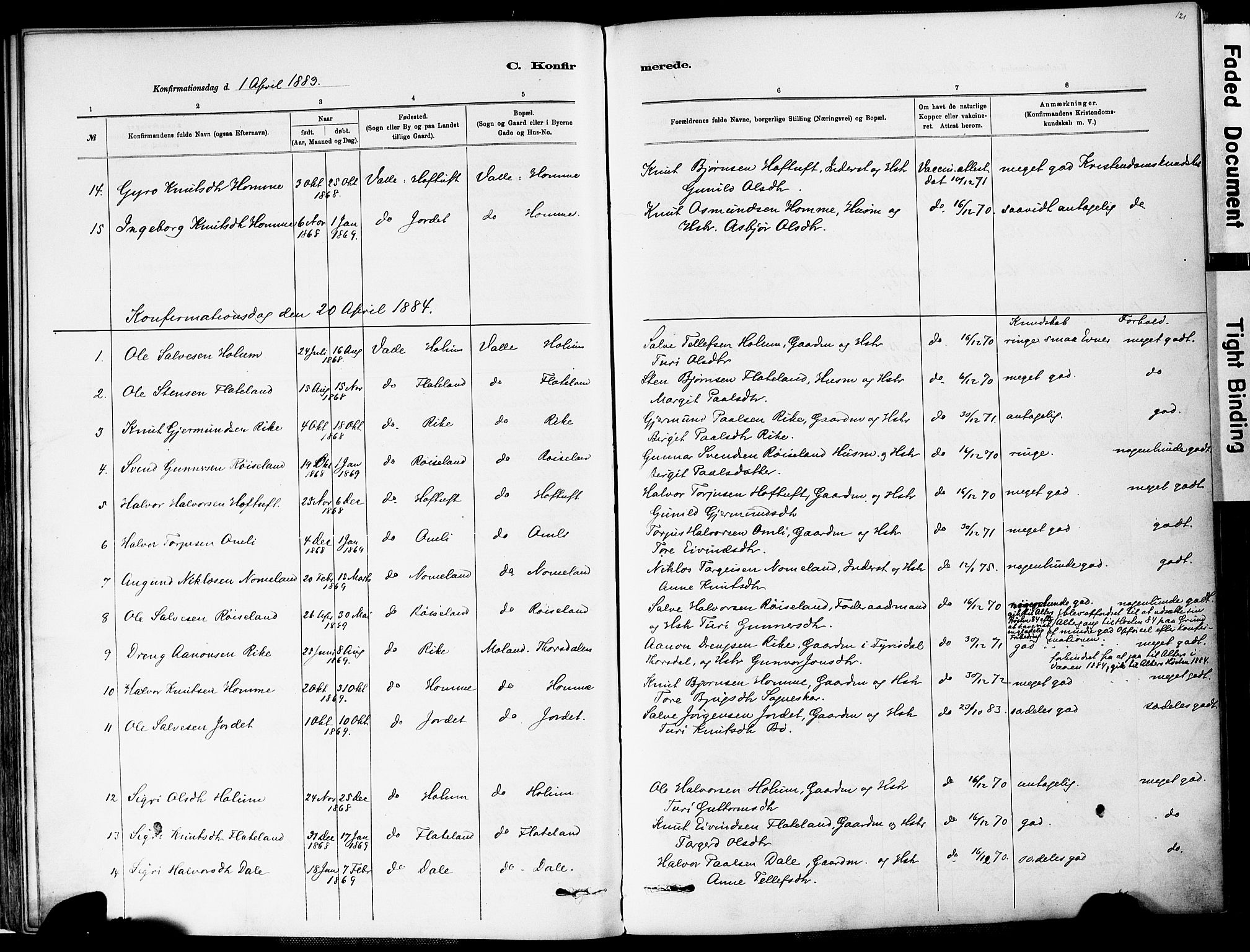 Valle sokneprestkontor, AV/SAK-1111-0044/F/Fa/Fac/L0009: Parish register (official) no. A 9, 1882-1913, p. 121