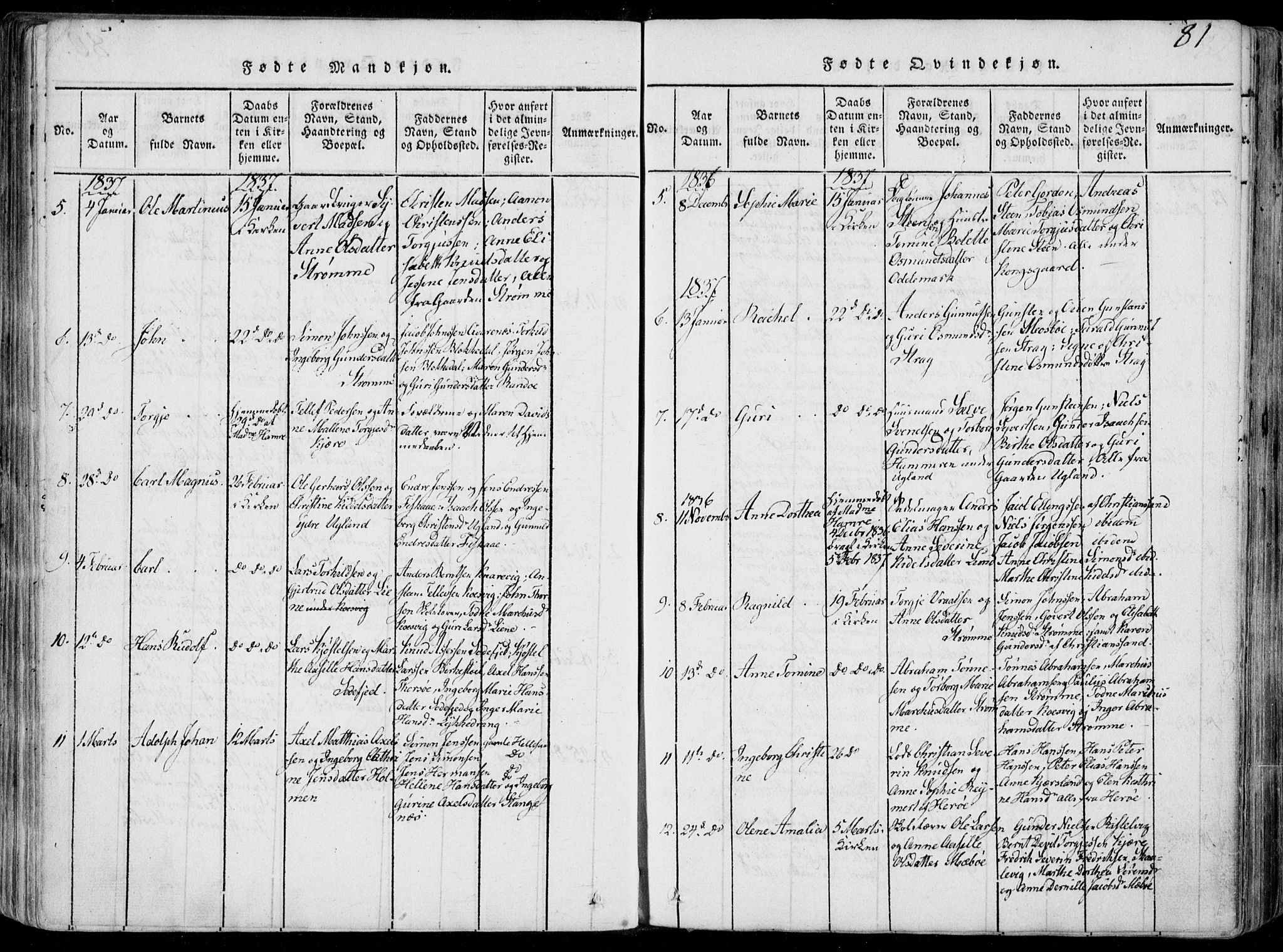 Oddernes sokneprestkontor, AV/SAK-1111-0033/F/Fa/Faa/L0005: Parish register (official) no. A 5, 1820-1838, p. 81