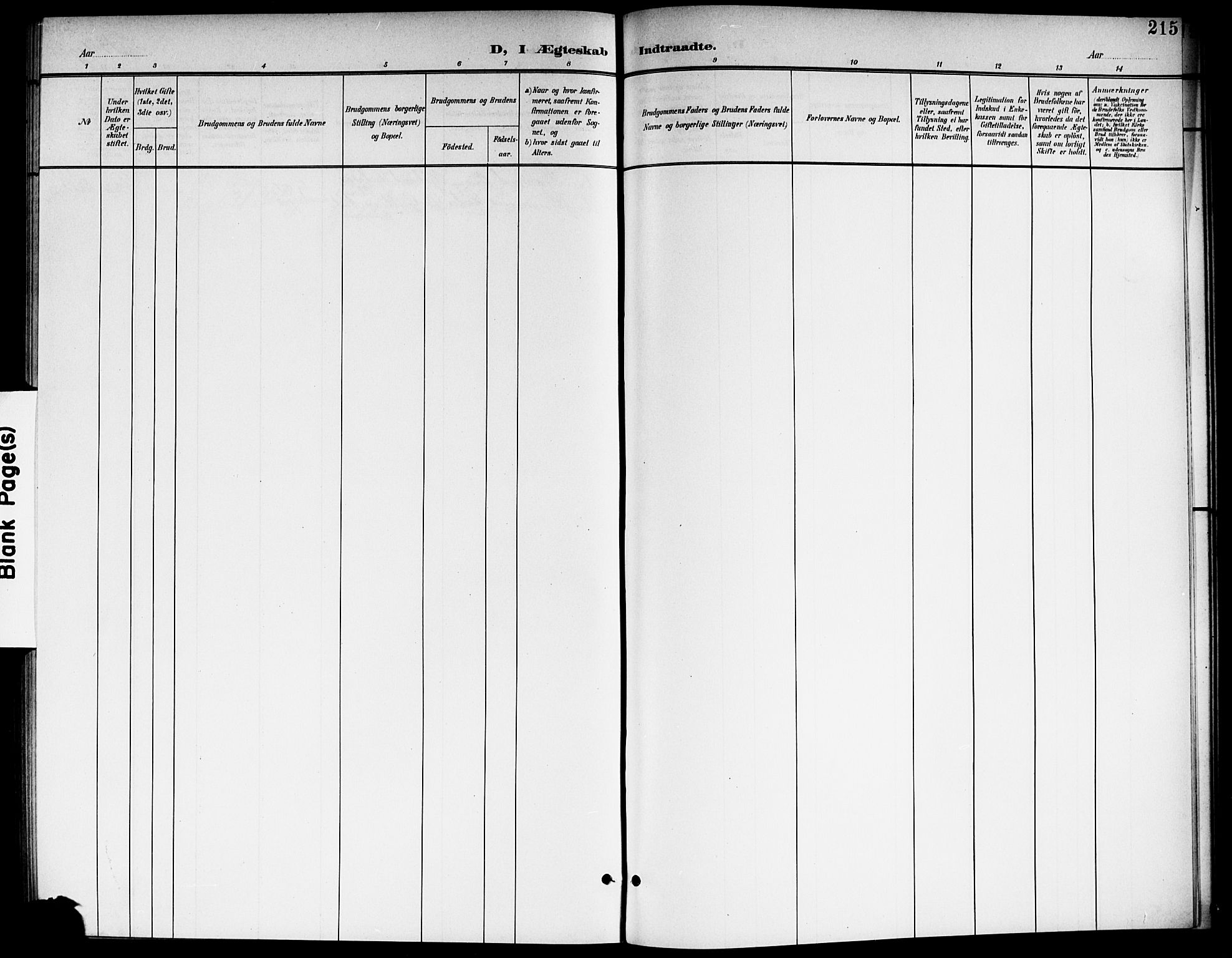 Aurskog prestekontor Kirkebøker, AV/SAO-A-10304a/G/Ga/L0004: Parish register (copy) no. I 4, 1901-1921, p. 215