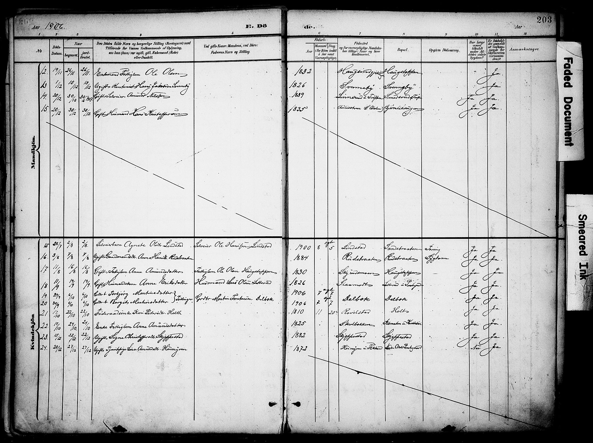 Nord-Odal prestekontor, SAH/PREST-032/H/Ha/Haa/L0007: Parish register (official) no. 7, 1902-1926, p. 203