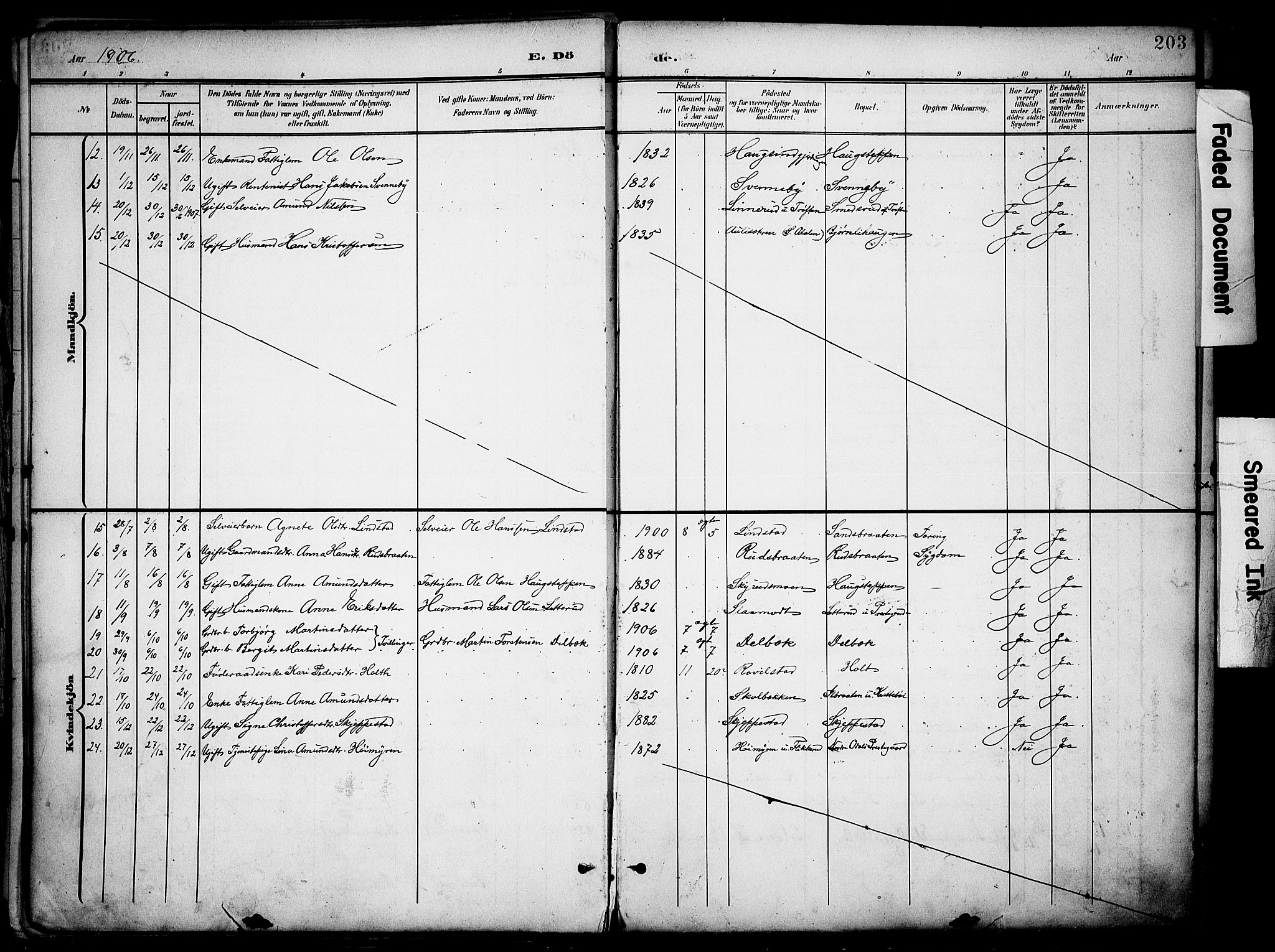 Nord-Odal prestekontor, AV/SAH-PREST-032/H/Ha/Haa/L0007: Parish register (official) no. 7, 1902-1926, p. 203