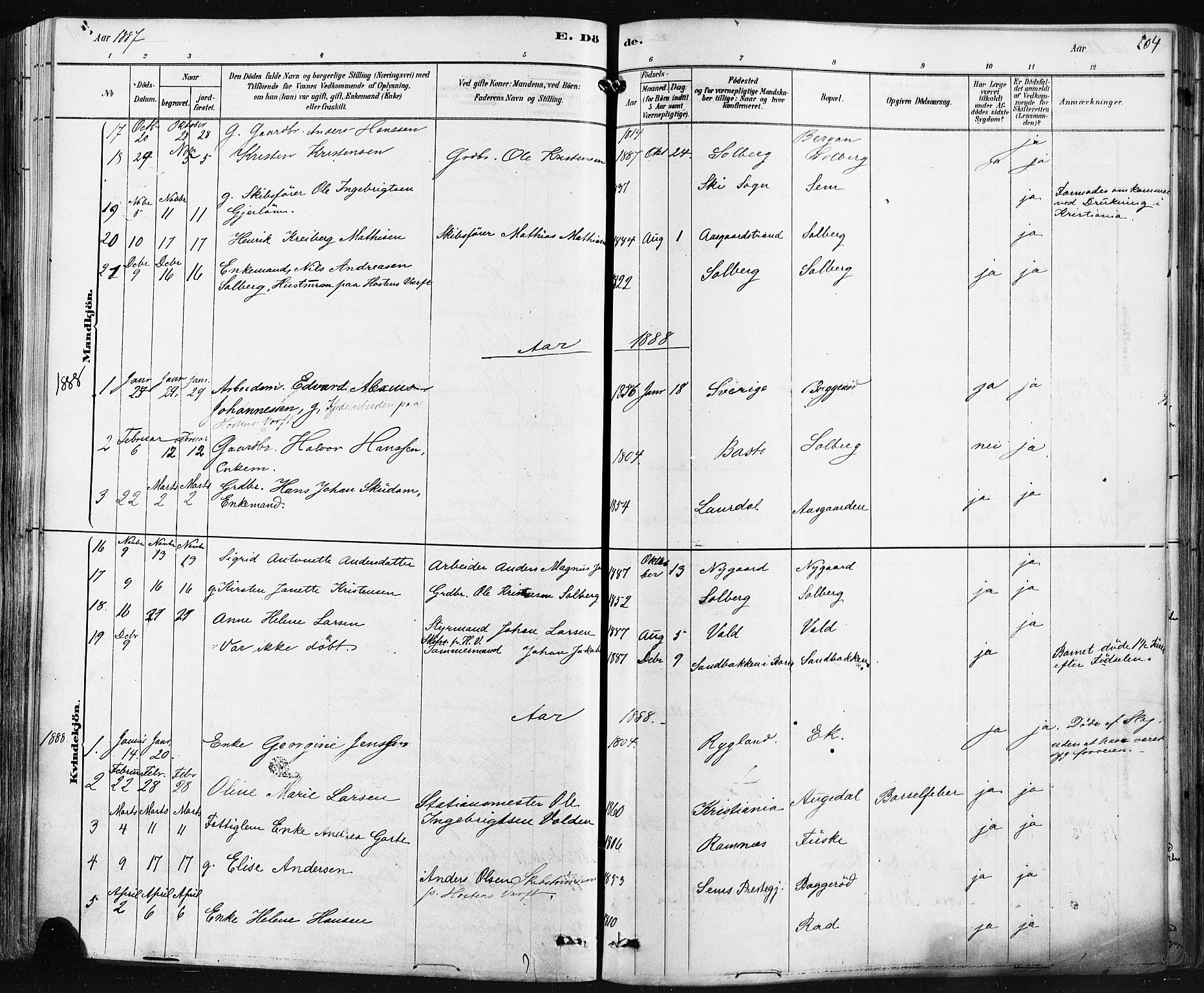Borre kirkebøker, SAKO/A-338/F/Fa/L0009: Parish register (official) no. I 9, 1878-1896, p. 204