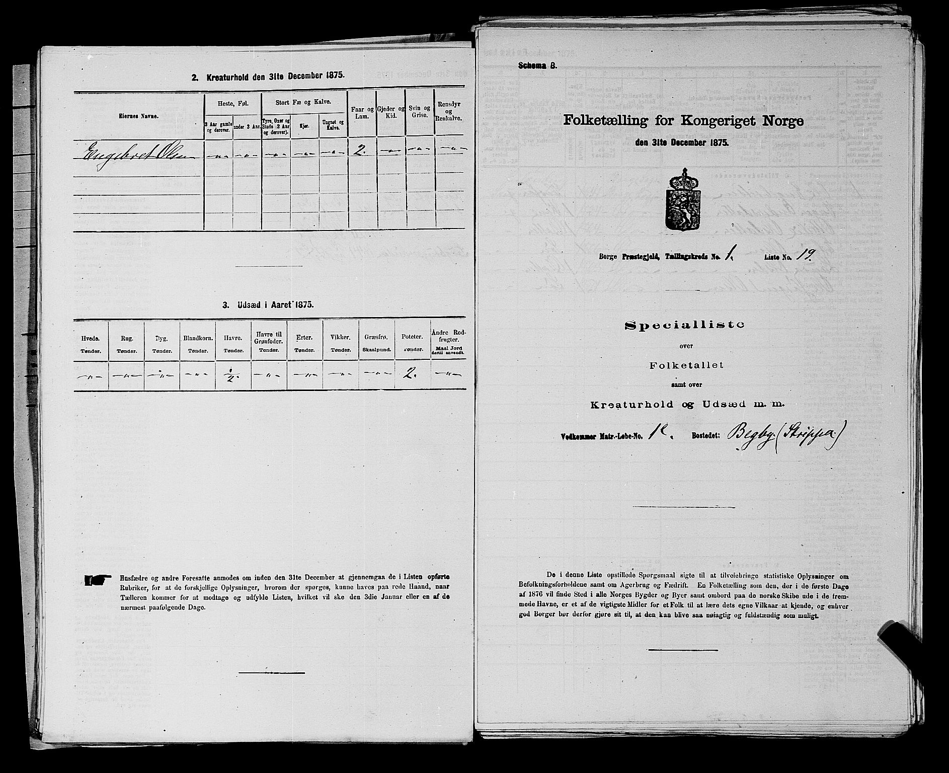 RA, 1875 census for 0113P Borge, 1875, p. 56