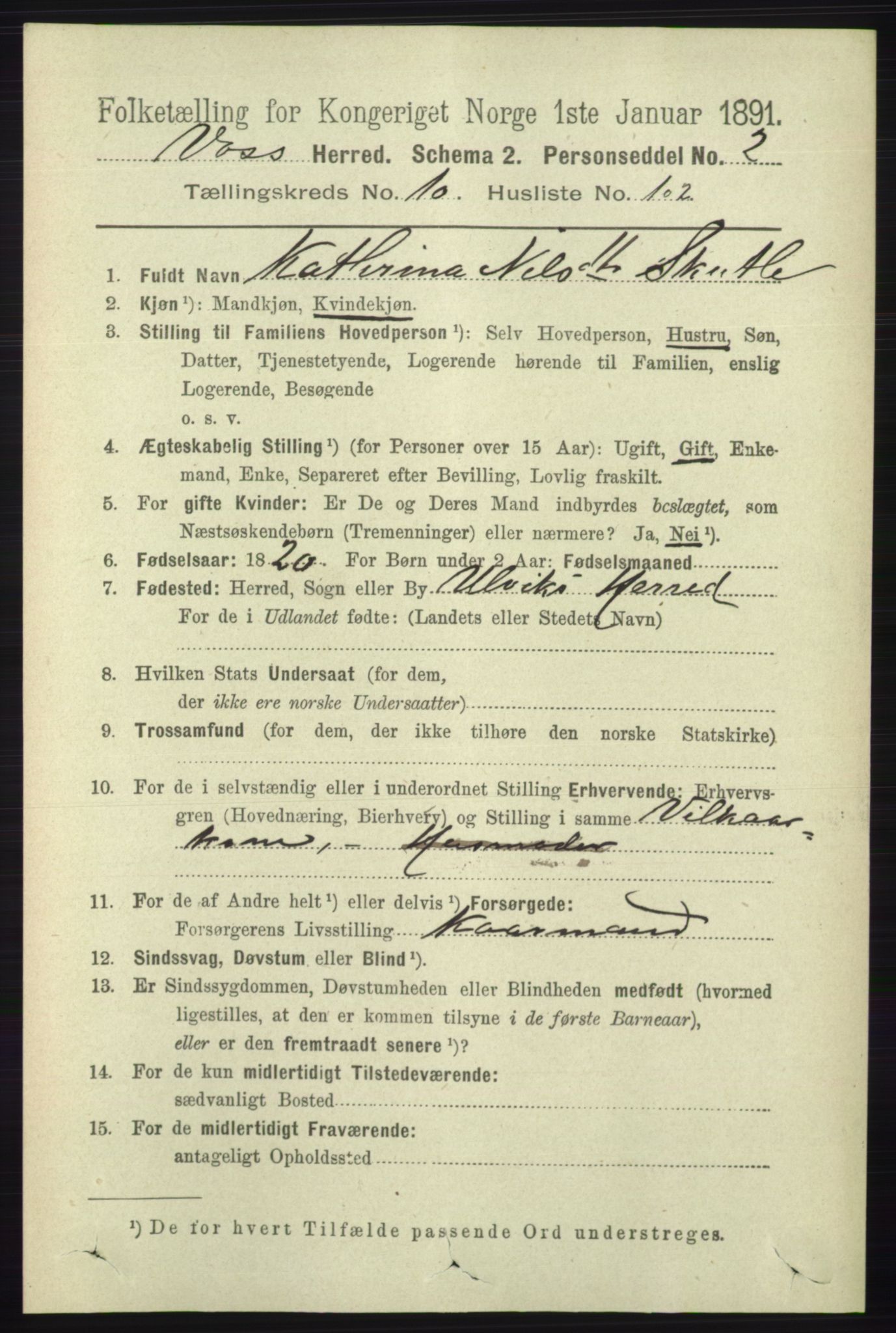 RA, 1891 census for 1235 Voss, 1891, p. 5713