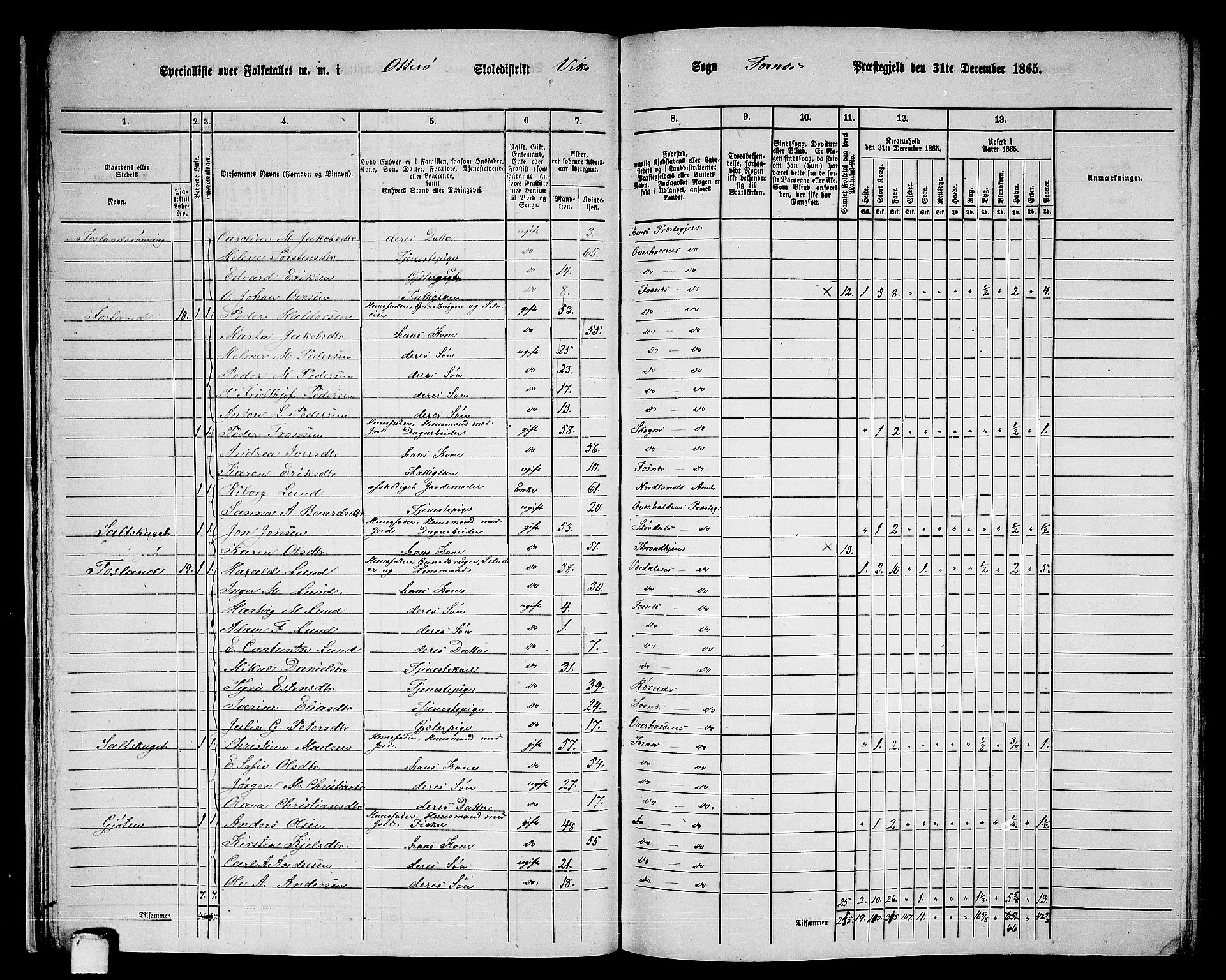 RA, 1865 census for Fosnes, 1865, p. 24