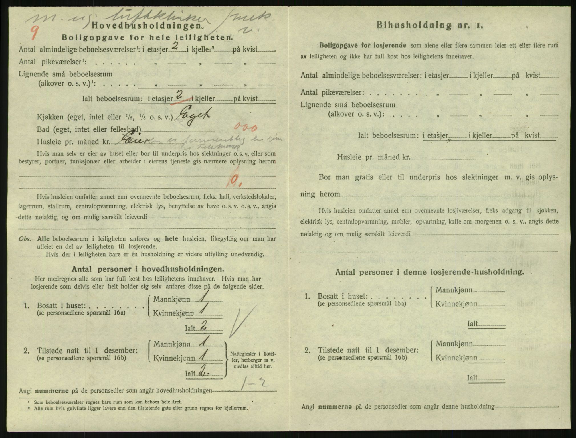 SAKO, 1920 census for Larvik, 1920, p. 6619