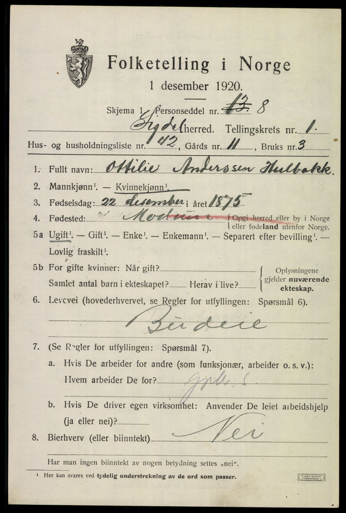 SAKO, 1920 census for Sigdal, 1920, p. 1916