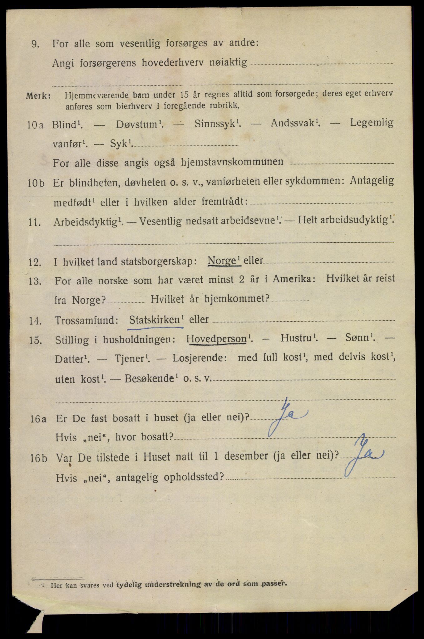 SAKO, 1920 census for Skien, 1920, p. 13531