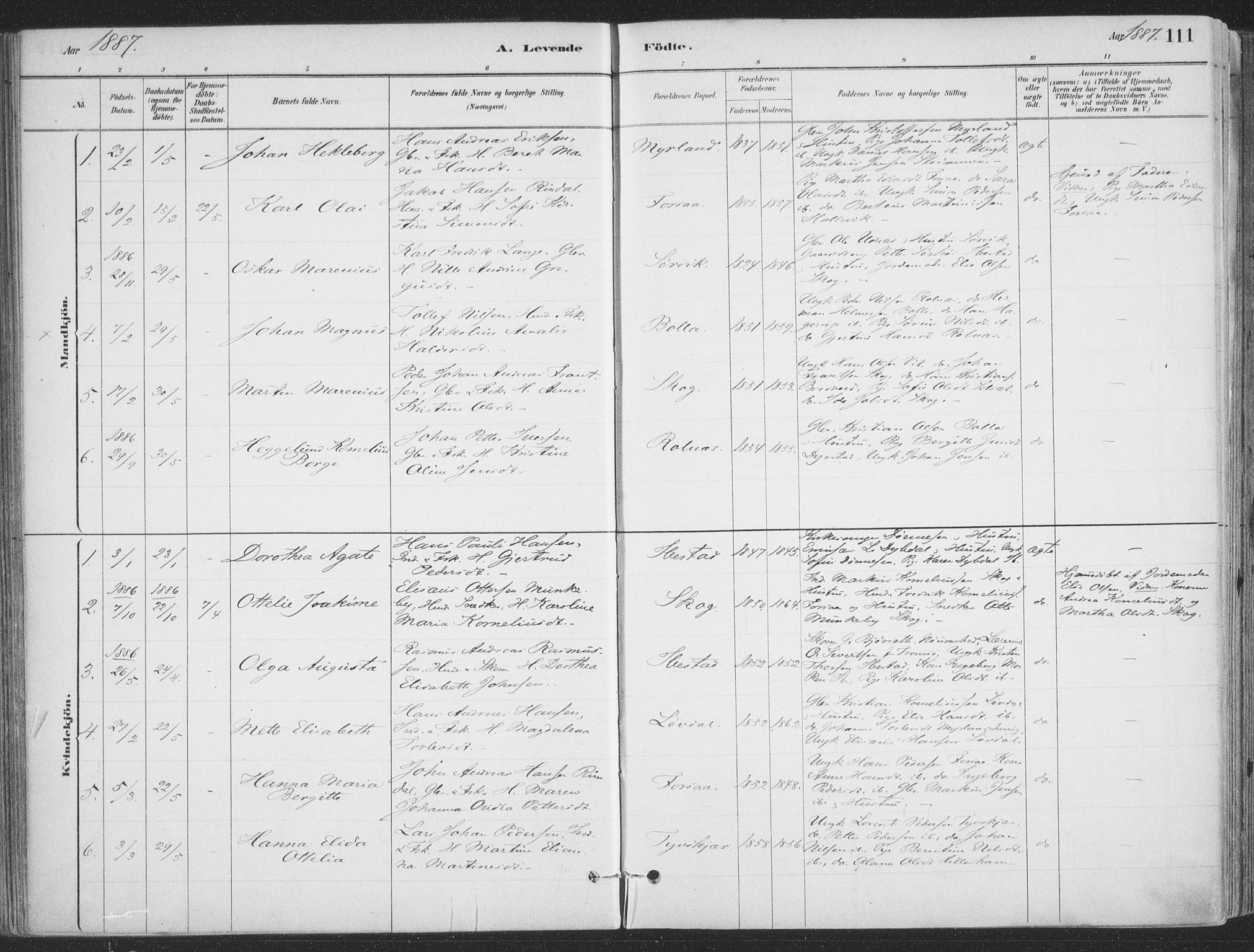 Ibestad sokneprestembete, AV/SATØ-S-0077/H/Ha/Haa/L0011kirke: Parish register (official) no. 11, 1880-1889, p. 111