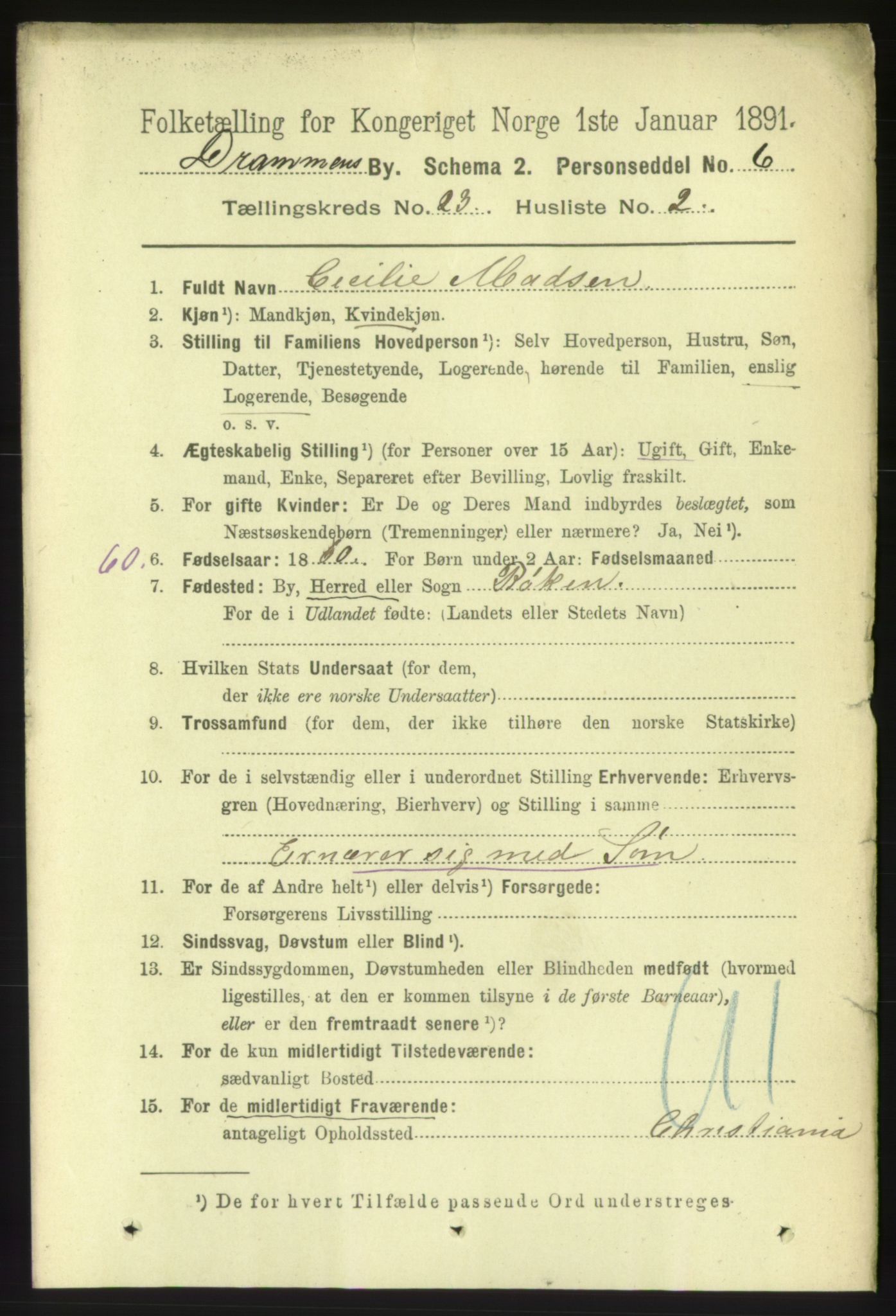 RA, 1891 census for 0602 Drammen, 1891, p. 14066