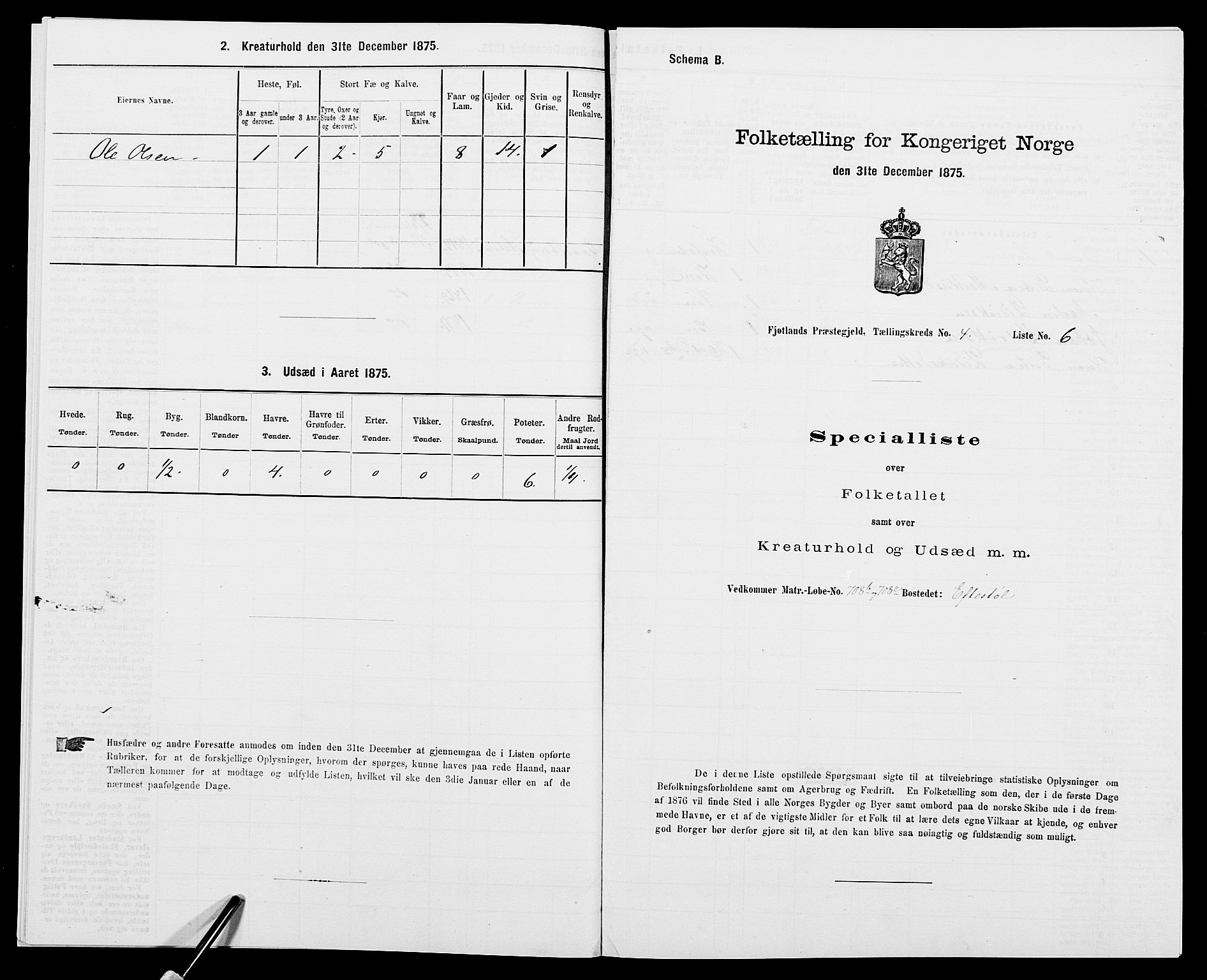 SAK, 1875 census for 1036P Fjotland, 1875, p. 225