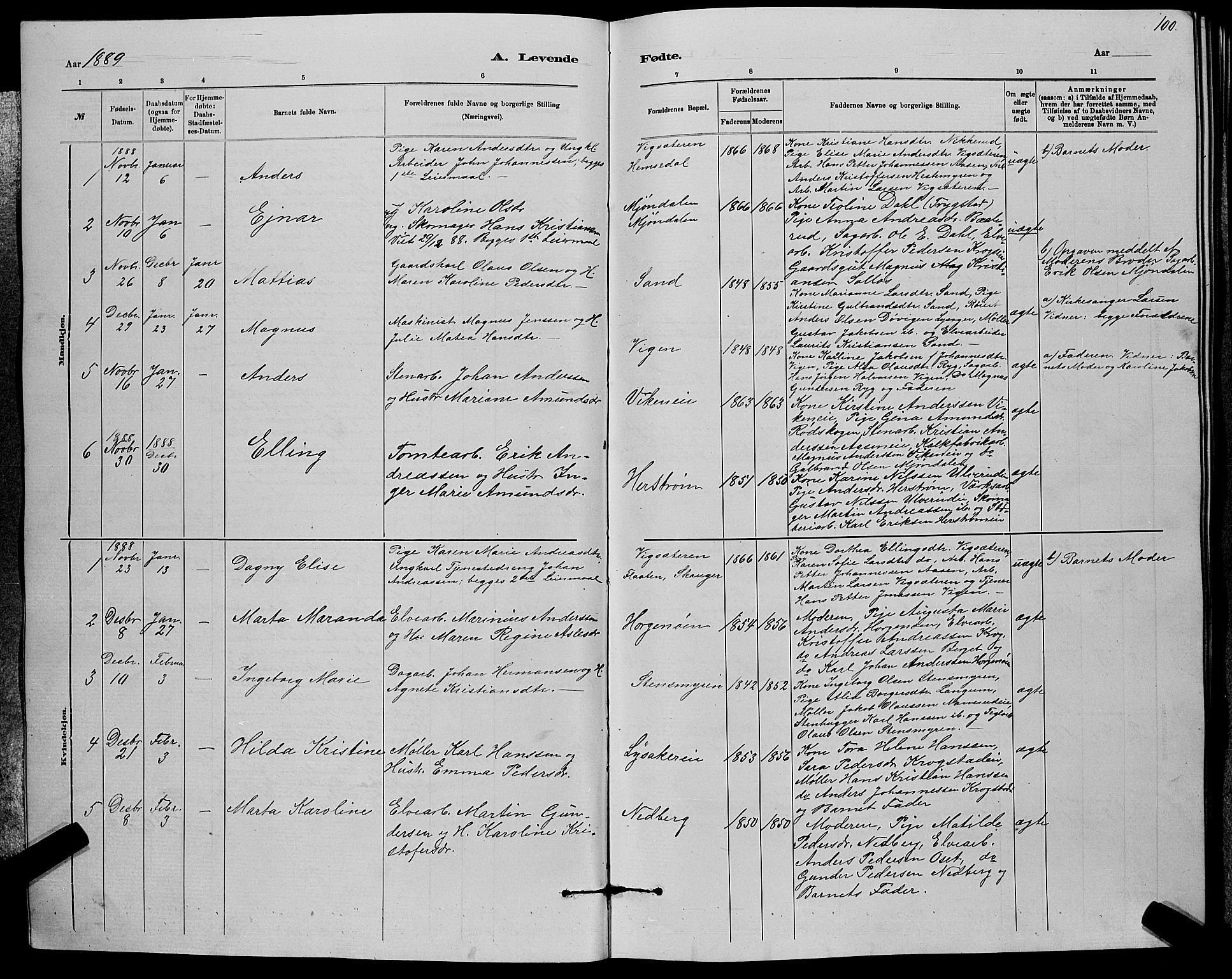 Nedre Eiker kirkebøker, AV/SAKO-A-612/G/Ga/L0002: Parish register (copy) no. 2, 1880-1896, p. 100