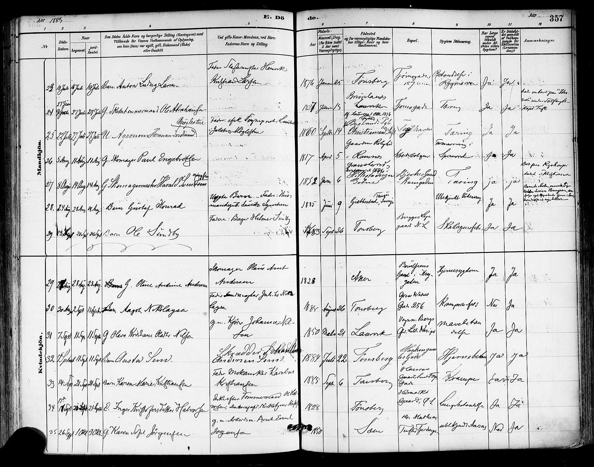 Tønsberg kirkebøker, AV/SAKO-A-330/F/Fa/L0011: Parish register (official) no. I 11, 1881-1890, p. 357