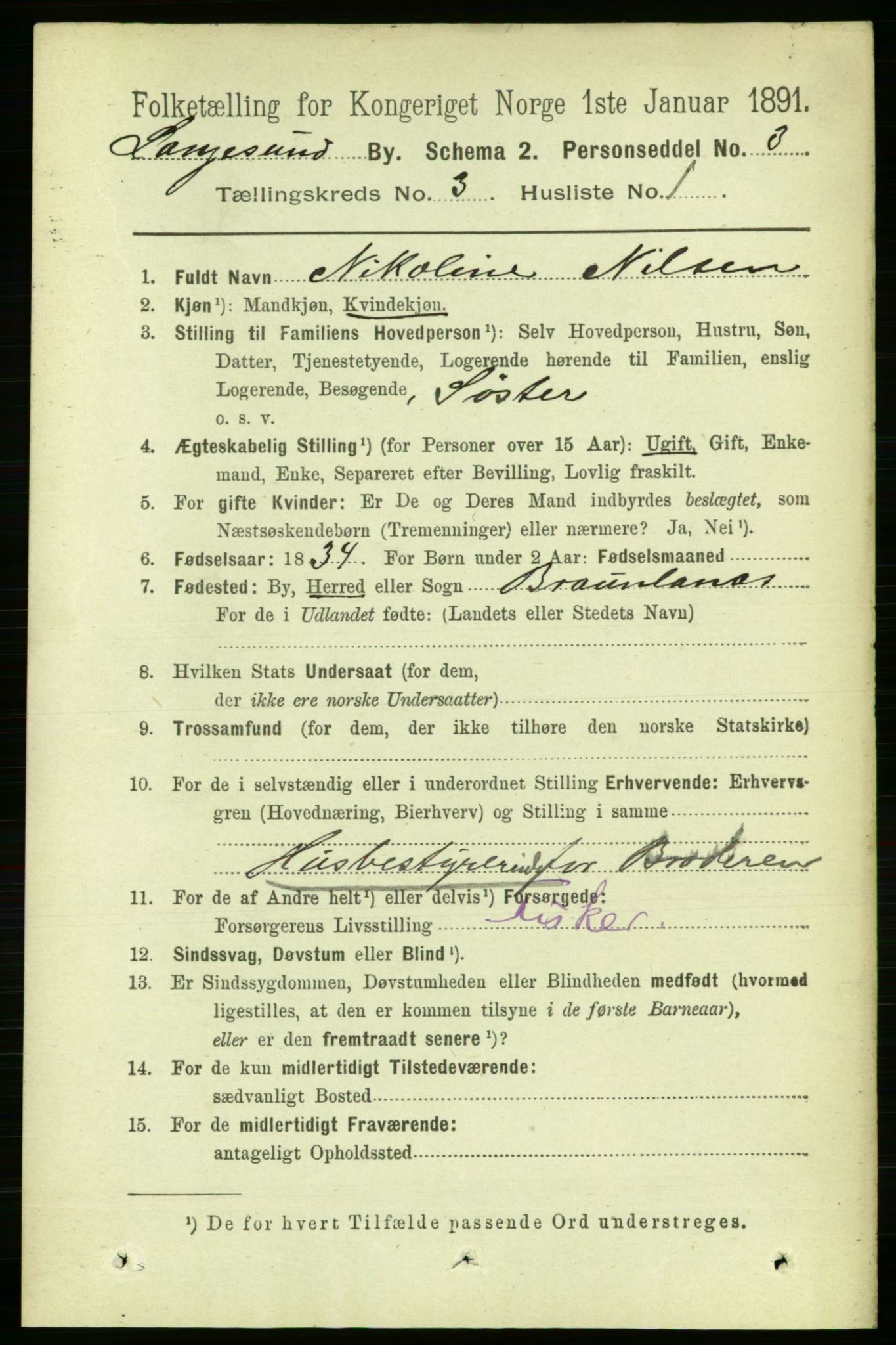 RA, 1891 census for 0802 Langesund, 1891, p. 905