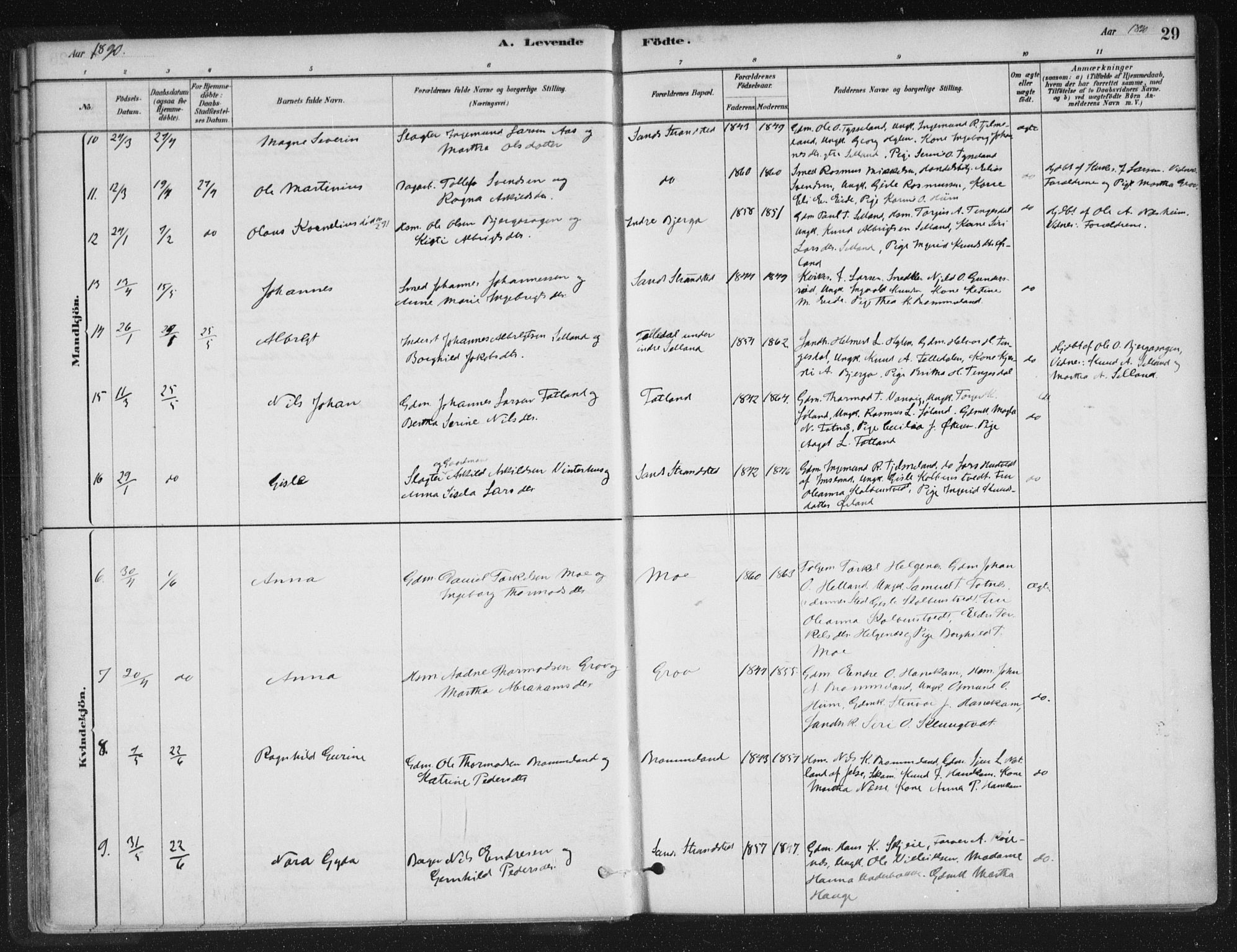 Sand sokneprestkontor, AV/SAST-A-101848/01/III/L0005: Parish register (official) no. A 5, 1880-1898, p. 29