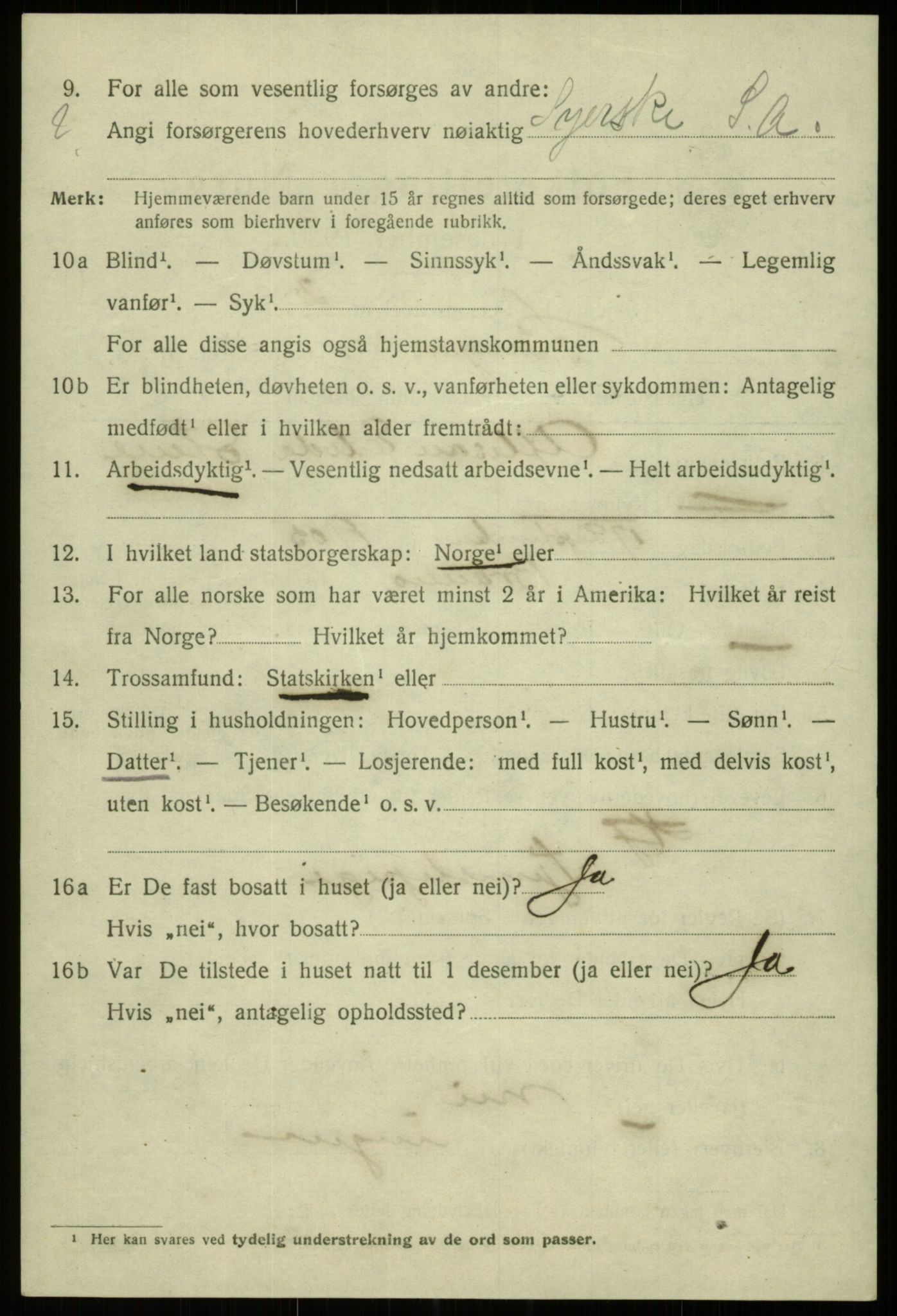 SAB, 1920 census for Bergen, 1920, p. 162232