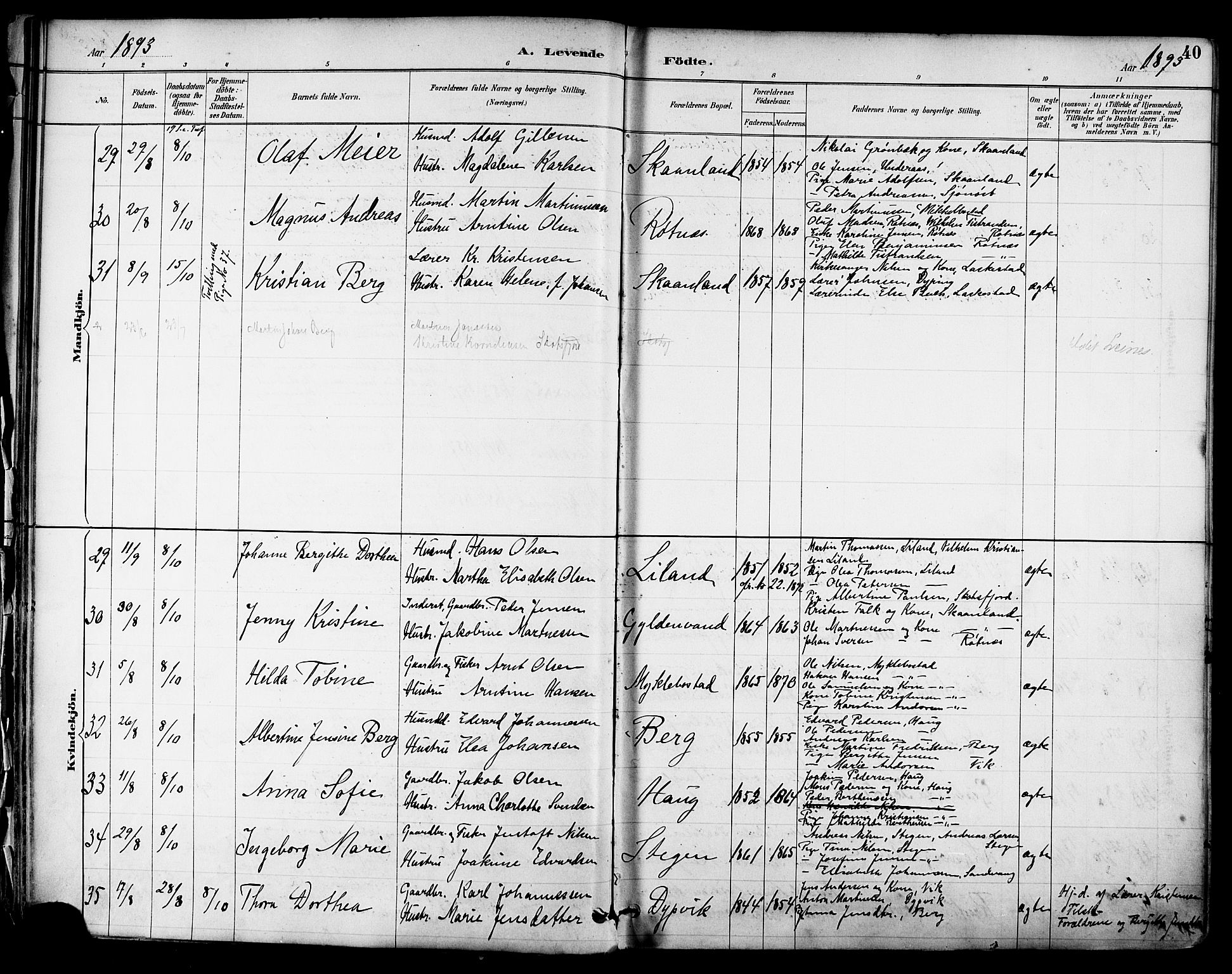 Ministerialprotokoller, klokkerbøker og fødselsregistre - Nordland, AV/SAT-A-1459/855/L0803: Parish register (official) no. 855A11, 1887-1905, p. 40