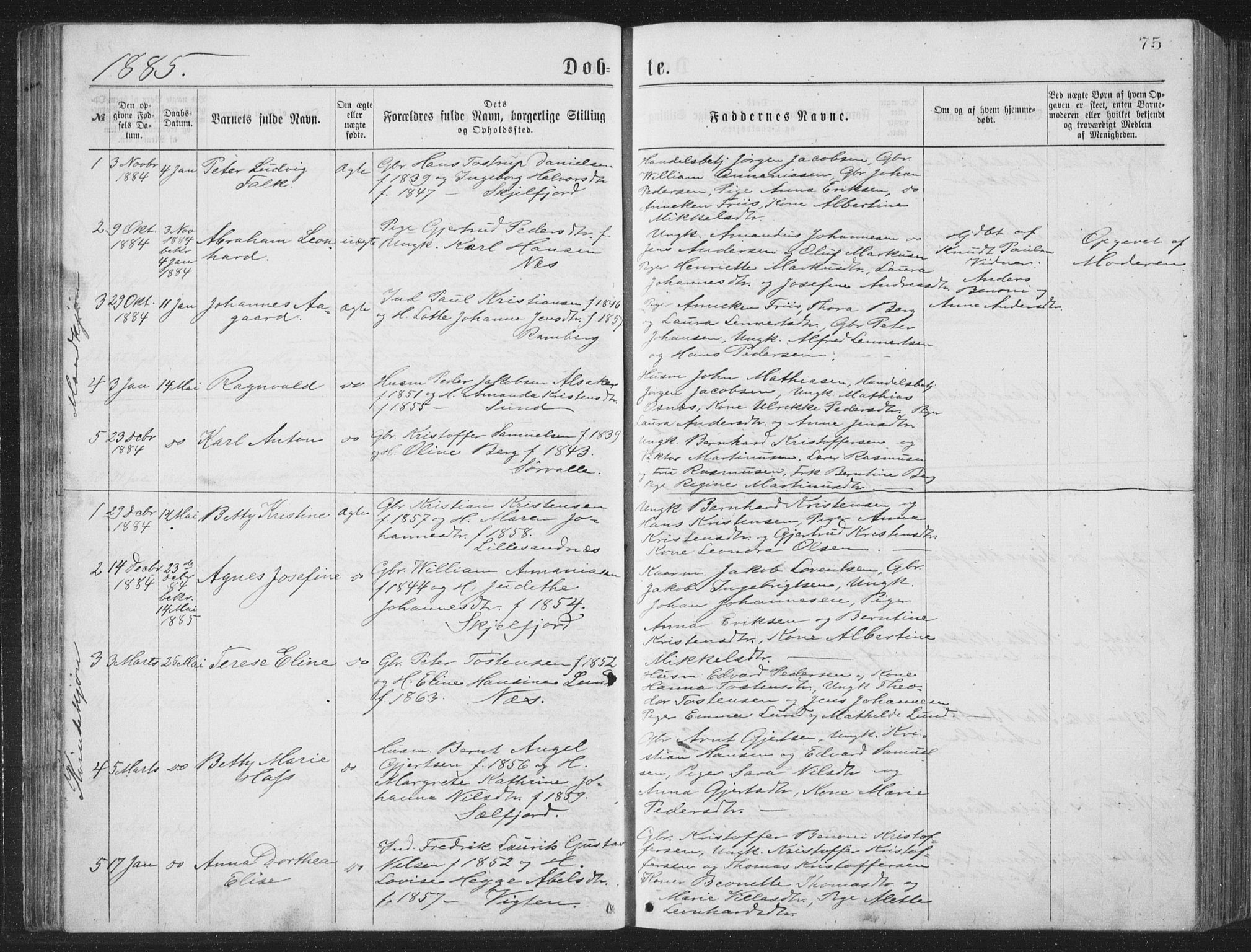 Ministerialprotokoller, klokkerbøker og fødselsregistre - Nordland, SAT/A-1459/885/L1213: Parish register (copy) no. 885C02, 1874-1892, p. 75