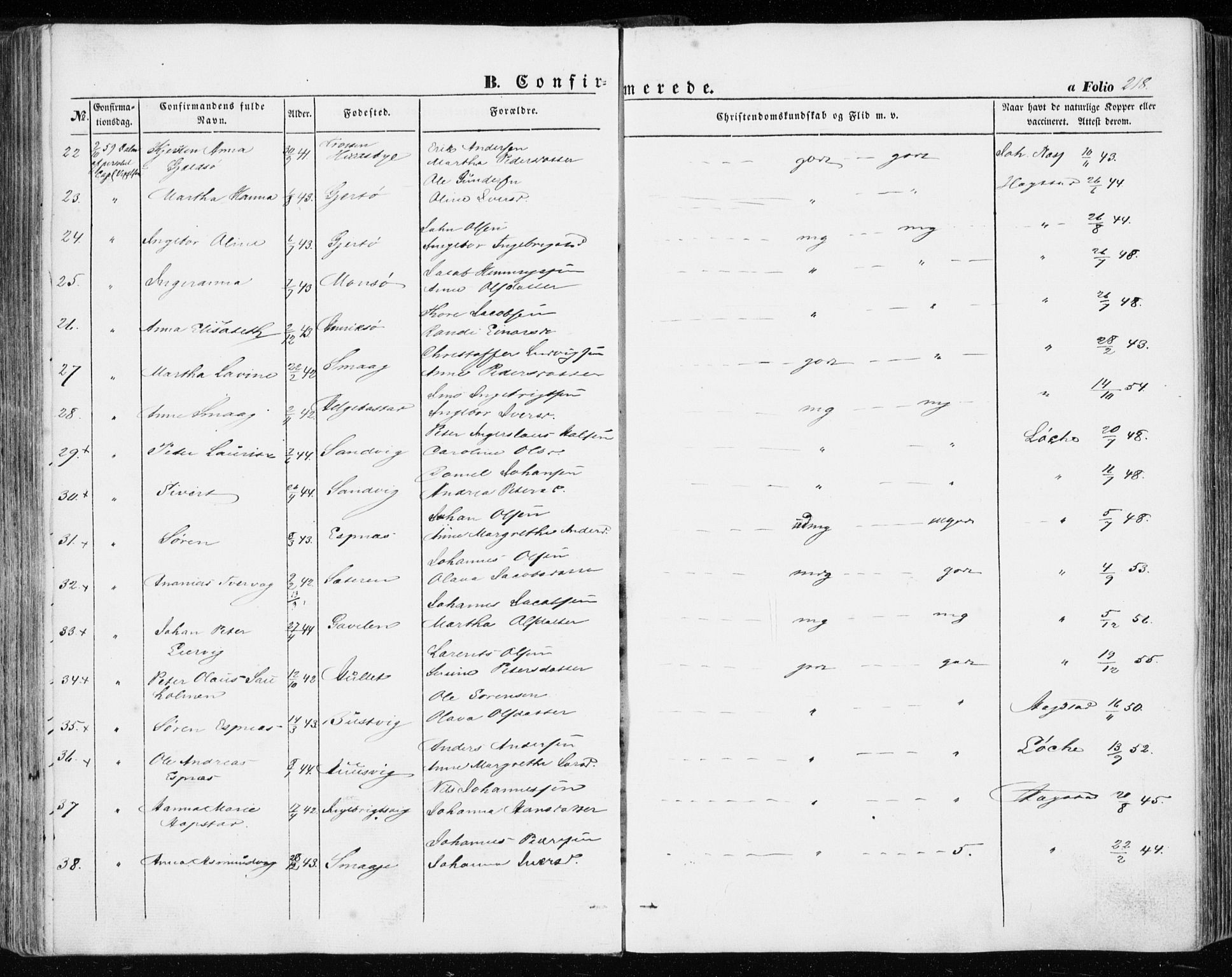 Ministerialprotokoller, klokkerbøker og fødselsregistre - Sør-Trøndelag, SAT/A-1456/634/L0530: Parish register (official) no. 634A06, 1852-1860, p. 218