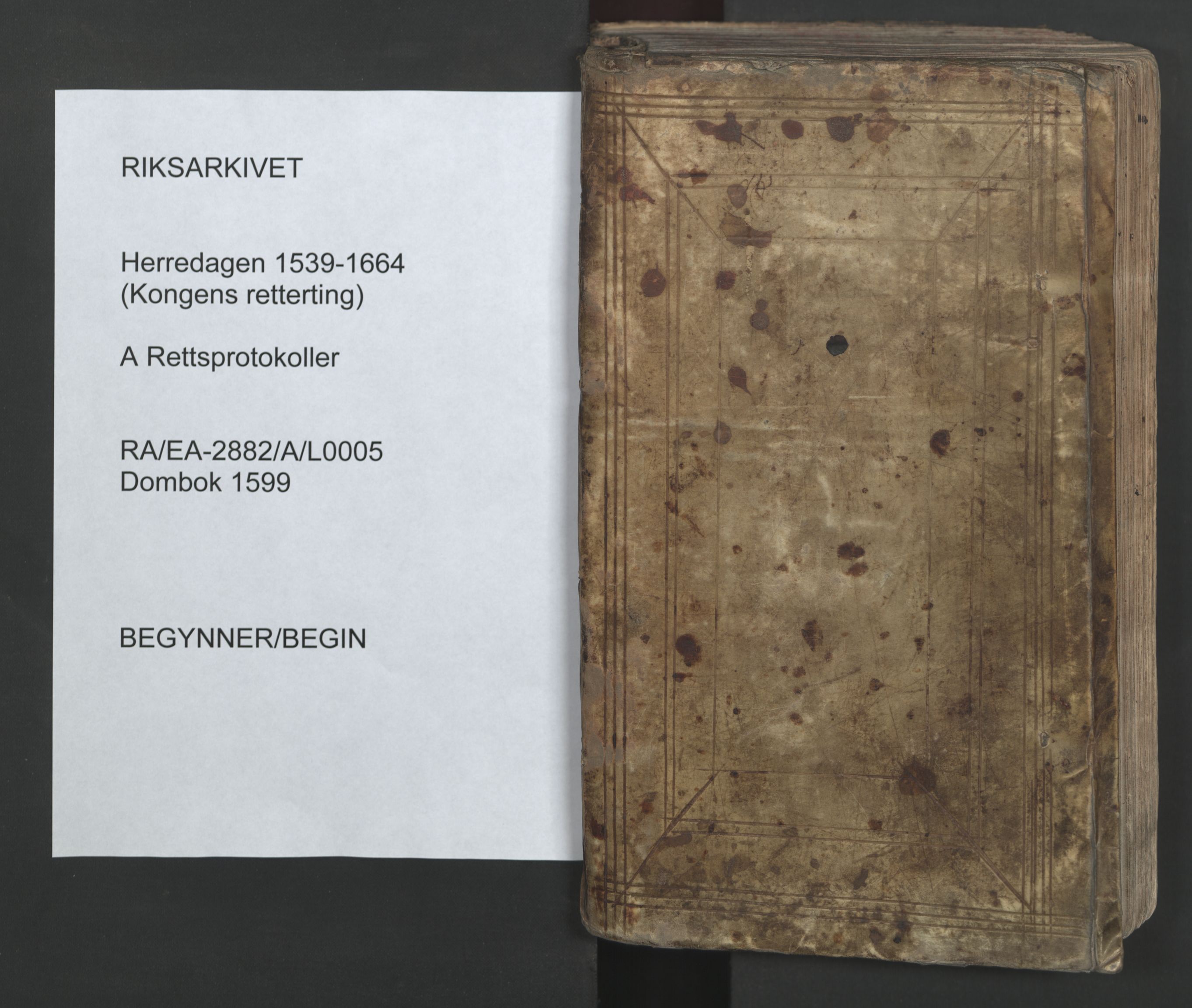 Herredagen 1539-1664  (Kongens Retterting), AV/RA-EA-2882/A/L0005: Dombok, 1599
