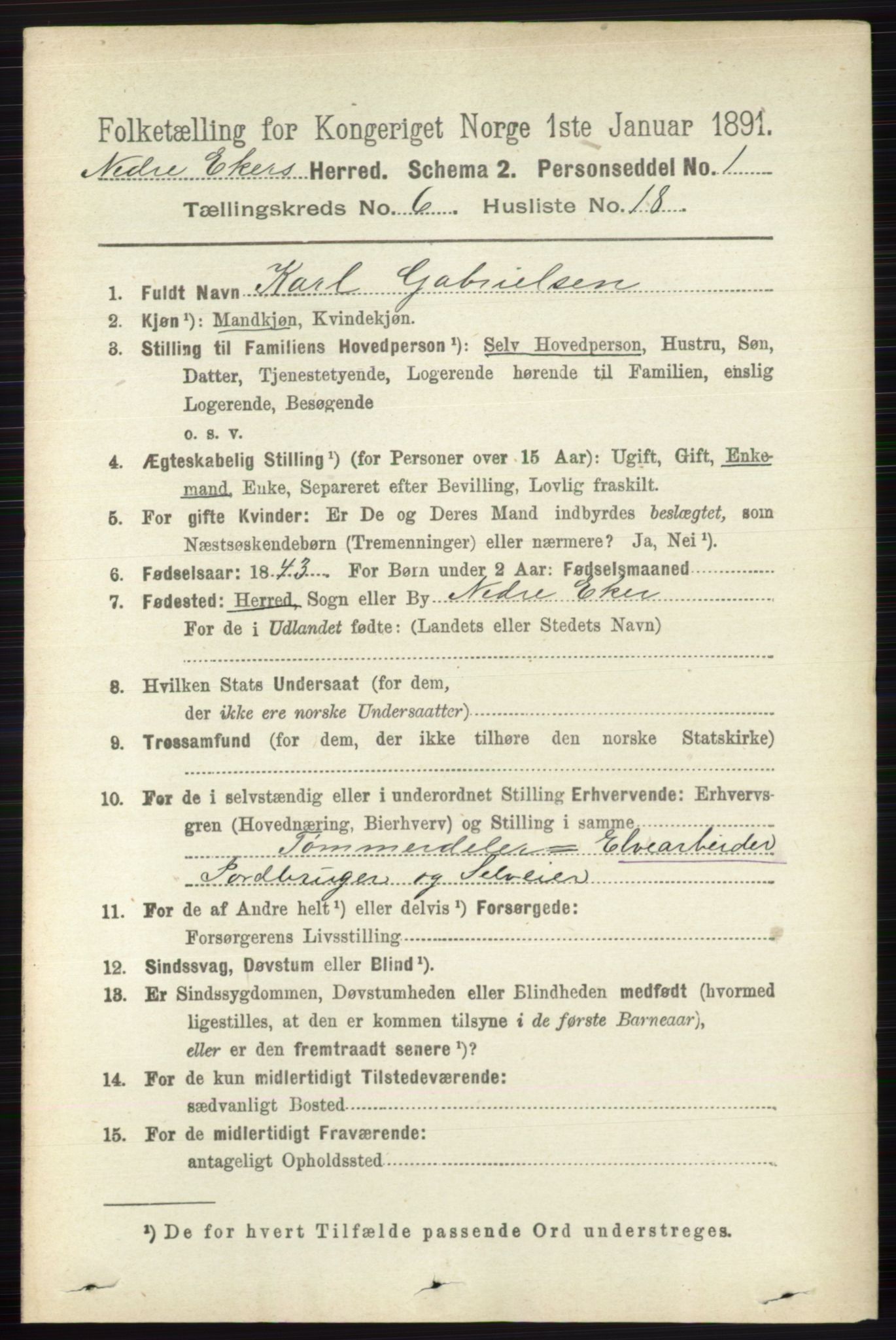 RA, 1891 census for 0625 Nedre Eiker, 1891, p. 2992
