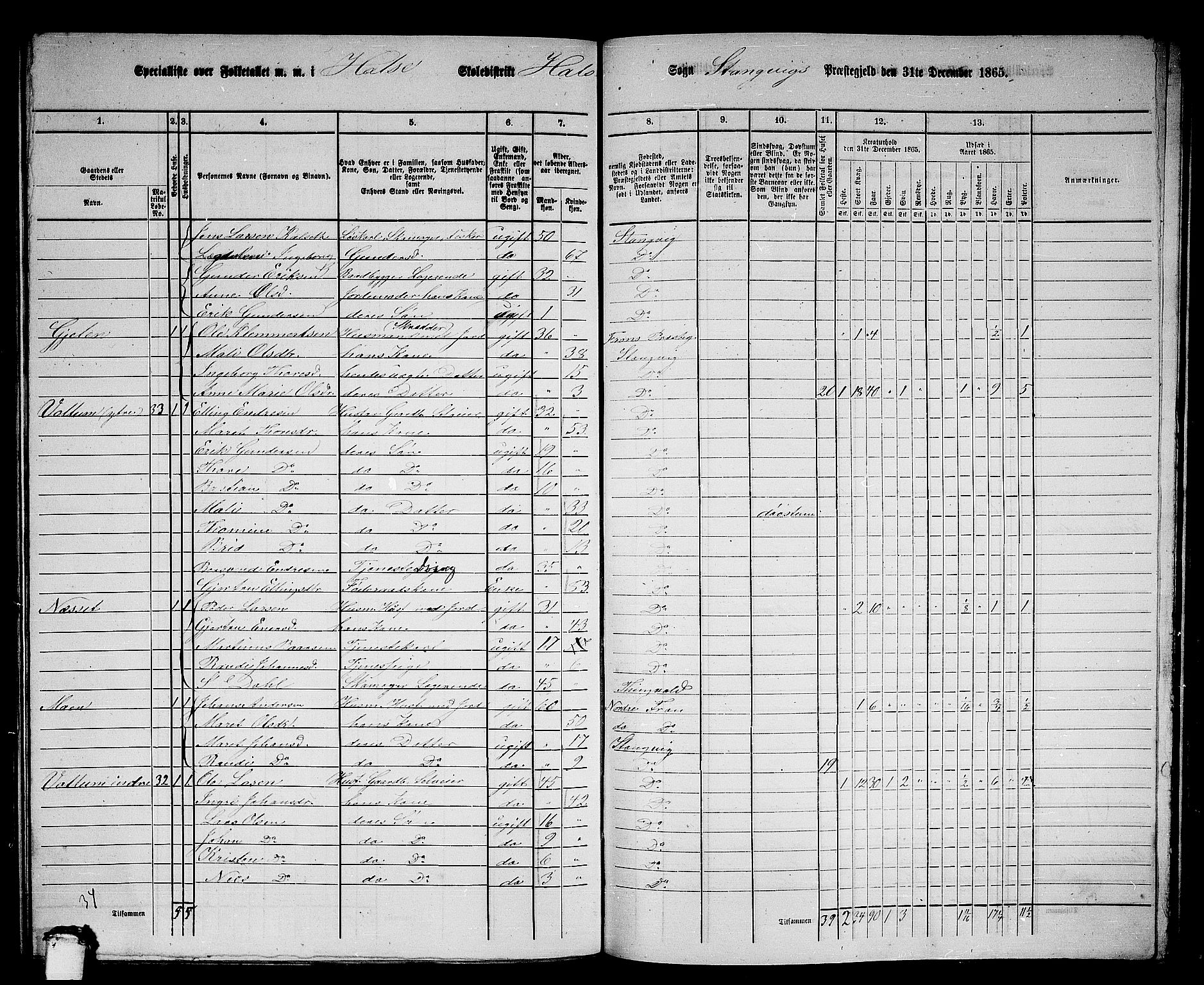 RA, 1865 census for Stangvik, 1865, p. 136