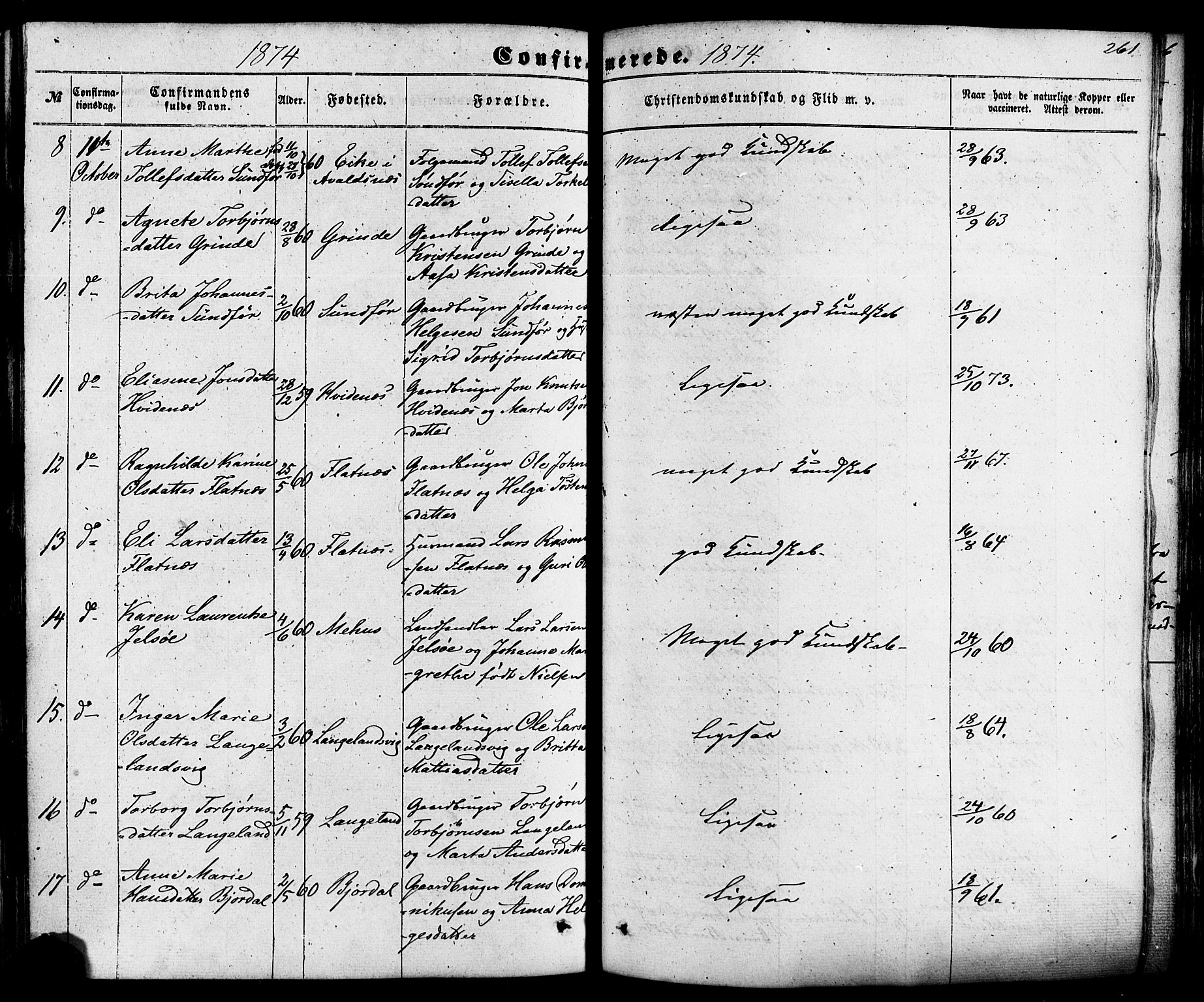 Skjold sokneprestkontor, SAST/A-101847/H/Ha/Haa/L0008: Parish register (official) no. A 8, 1856-1882, p. 261