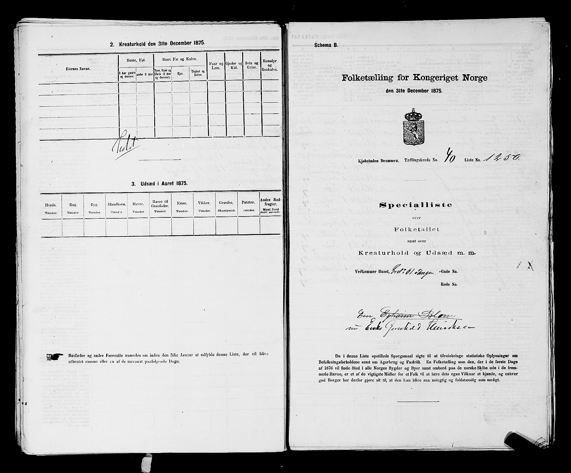 SAKO, 1875 census for 0602 Drammen, 1875, p. 3431