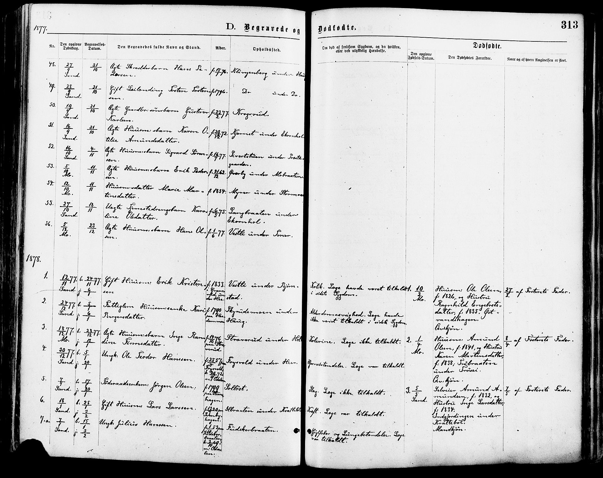 Nord-Odal prestekontor, AV/SAH-PREST-032/H/Ha/Haa/L0005: Parish register (official) no. 5, 1874-1885, p. 313