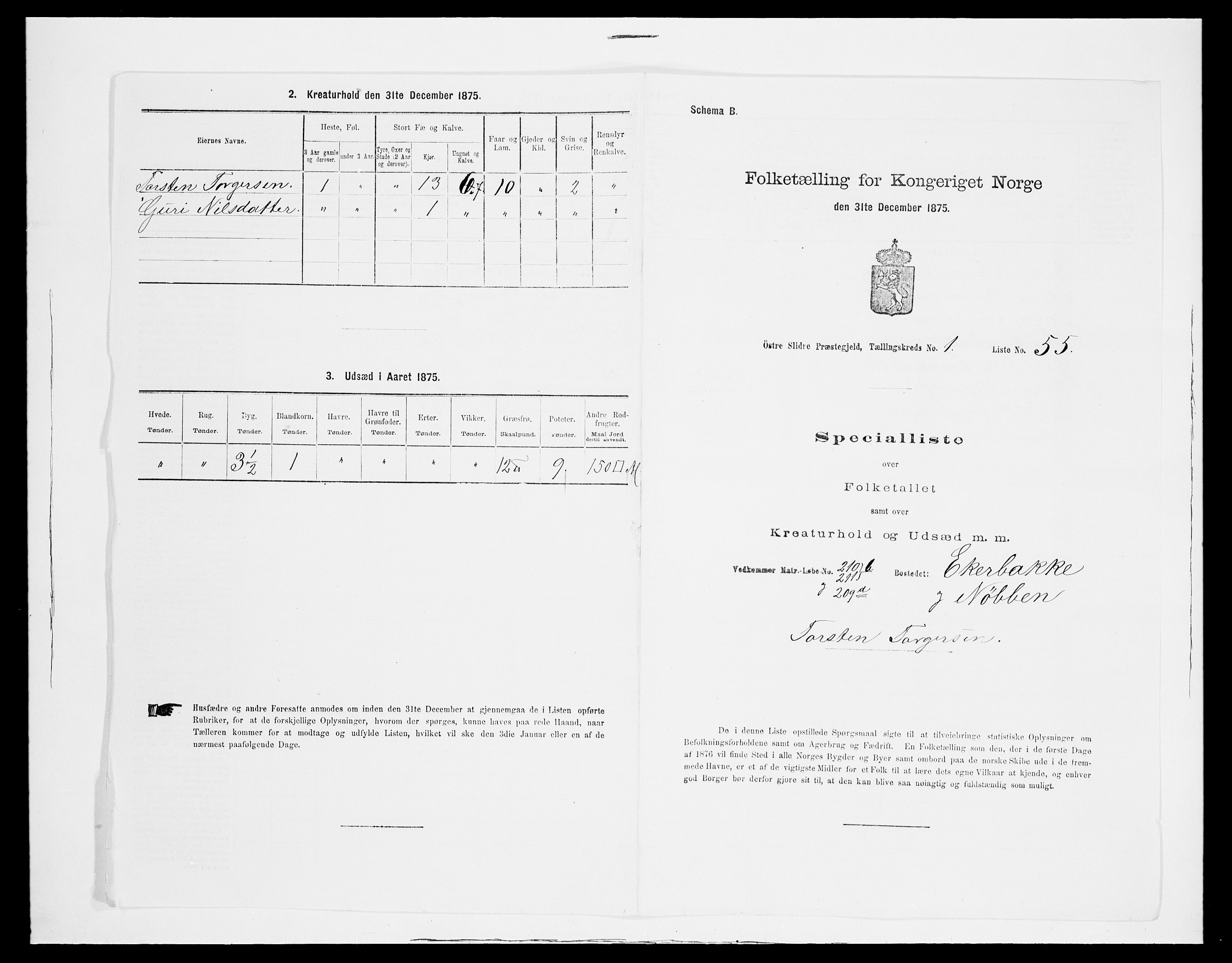 SAH, 1875 census for 0544P Øystre Slidre, 1875, p. 166