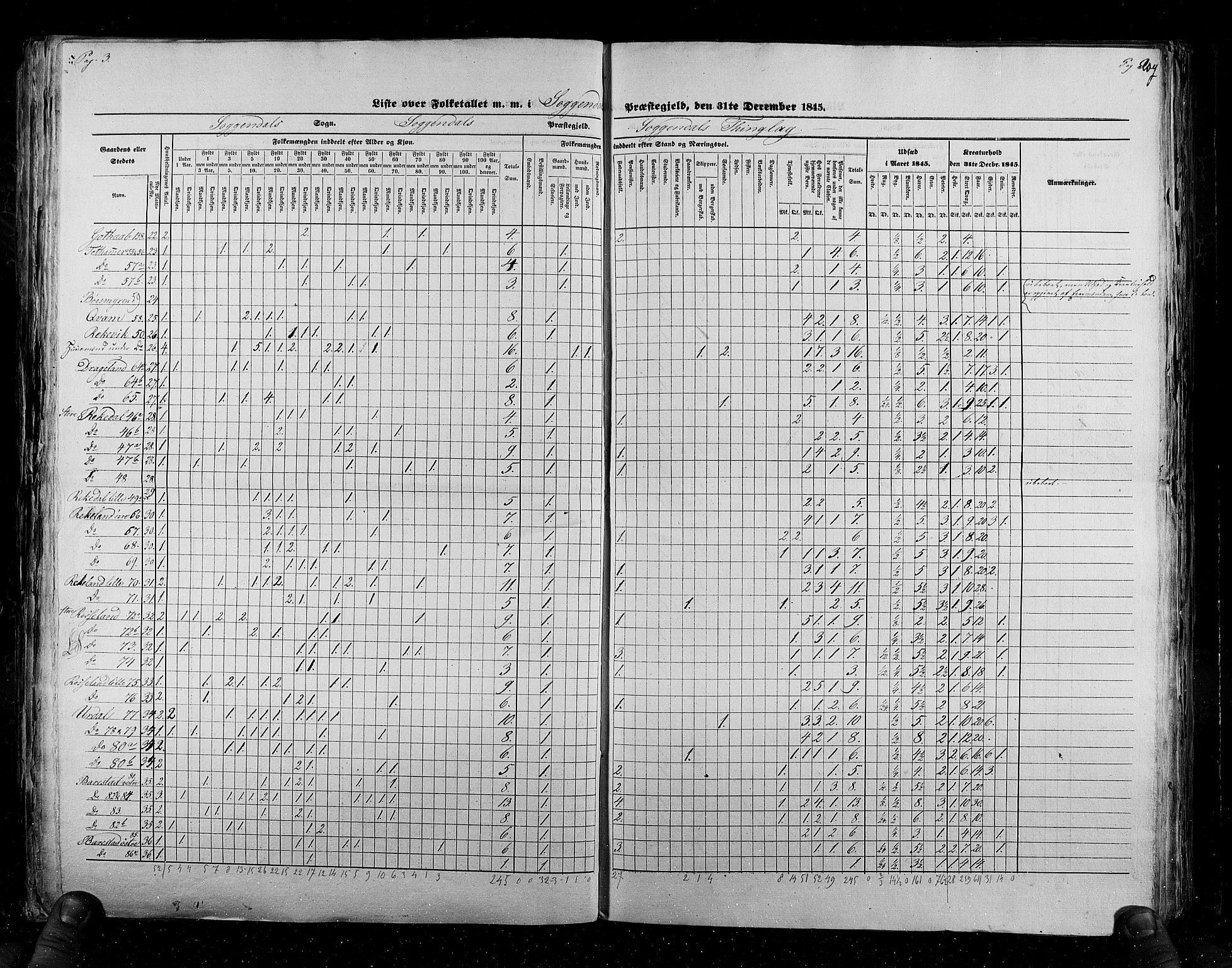 RA, Census 1845, vol. 6: Lister og Mandal amt og Stavanger amt, 1845, p. 207