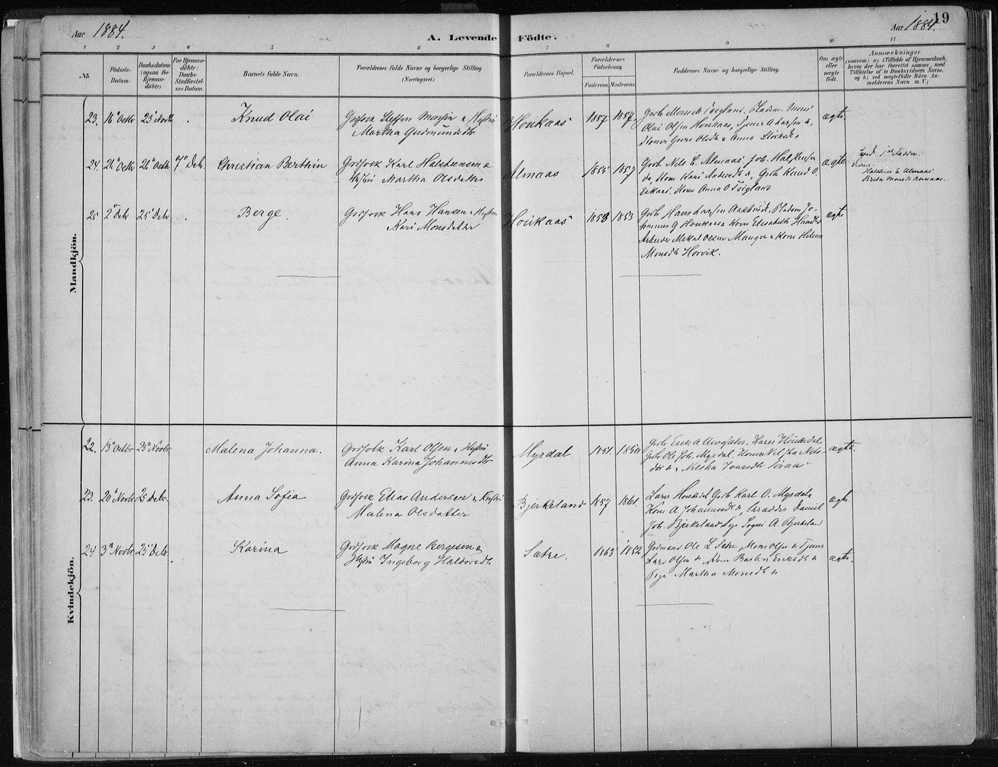 Hamre sokneprestembete, AV/SAB-A-75501/H/Ha/Haa/Haad/L0001: Parish register (official) no. D  1, 1882-1906, p. 19