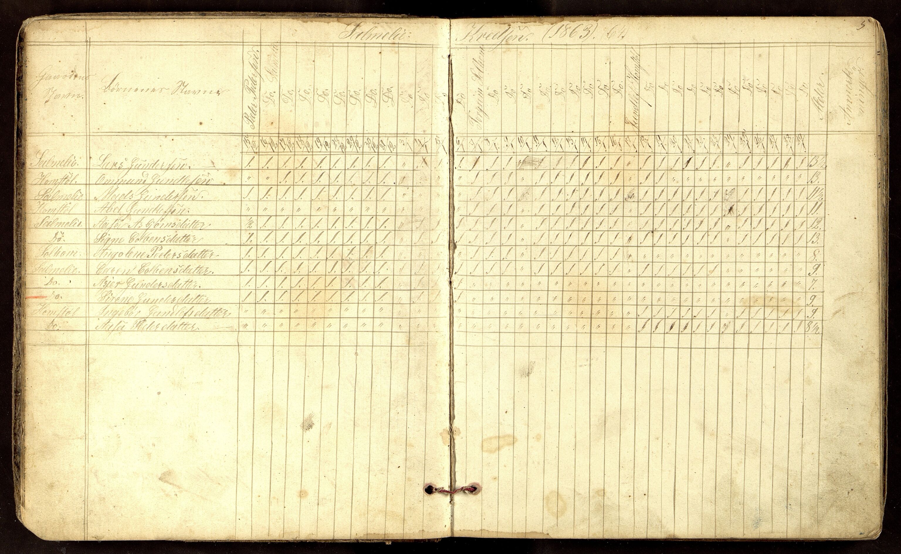 Sirdal kommune - Salmeli Krets, ARKSOR/1046SG554/I/L0001: Dagbok, 1863-1889