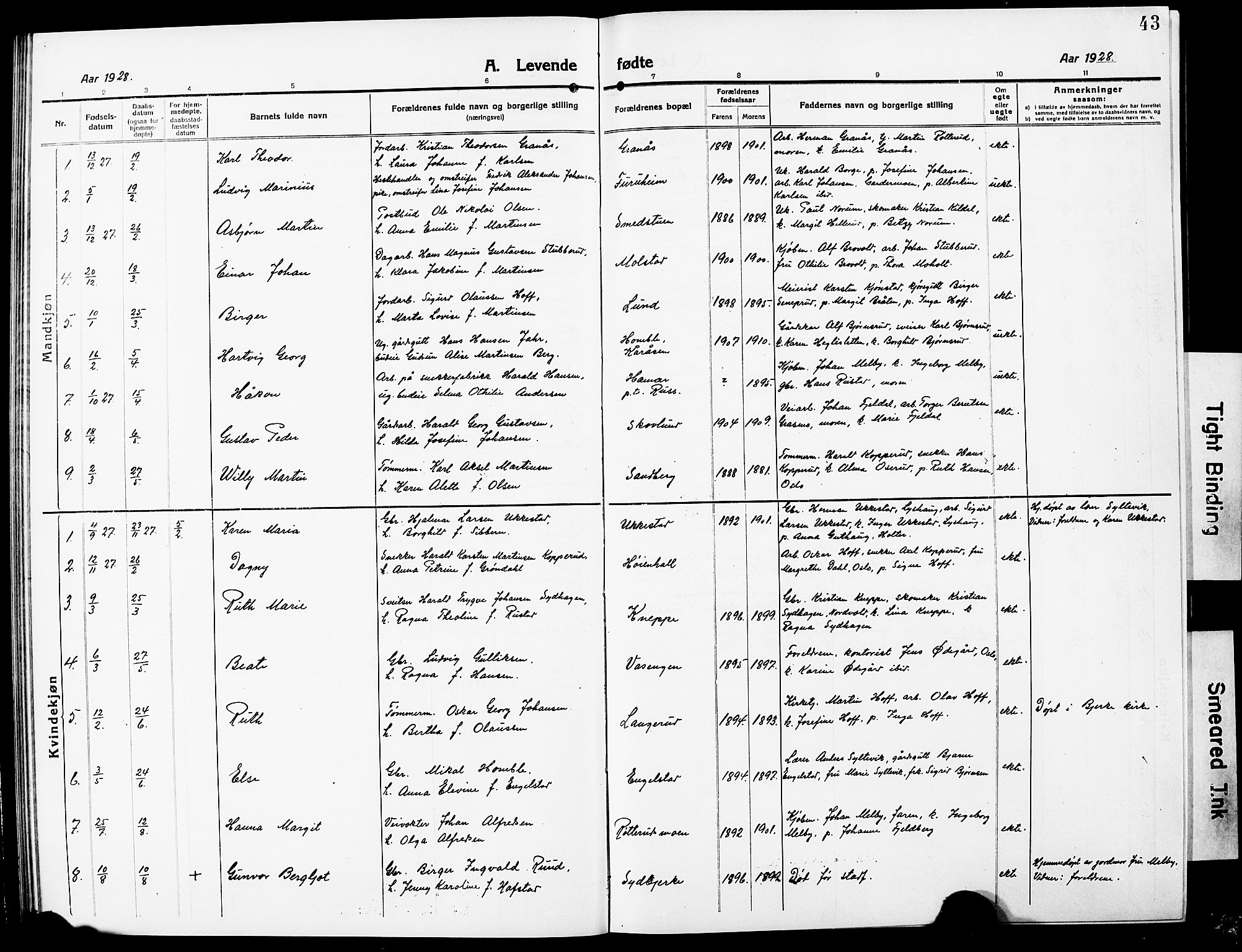 Nannestad prestekontor Kirkebøker, AV/SAO-A-10414a/G/Ga/L0003: Parish register (copy) no. I 3, 1914-1929, p. 43