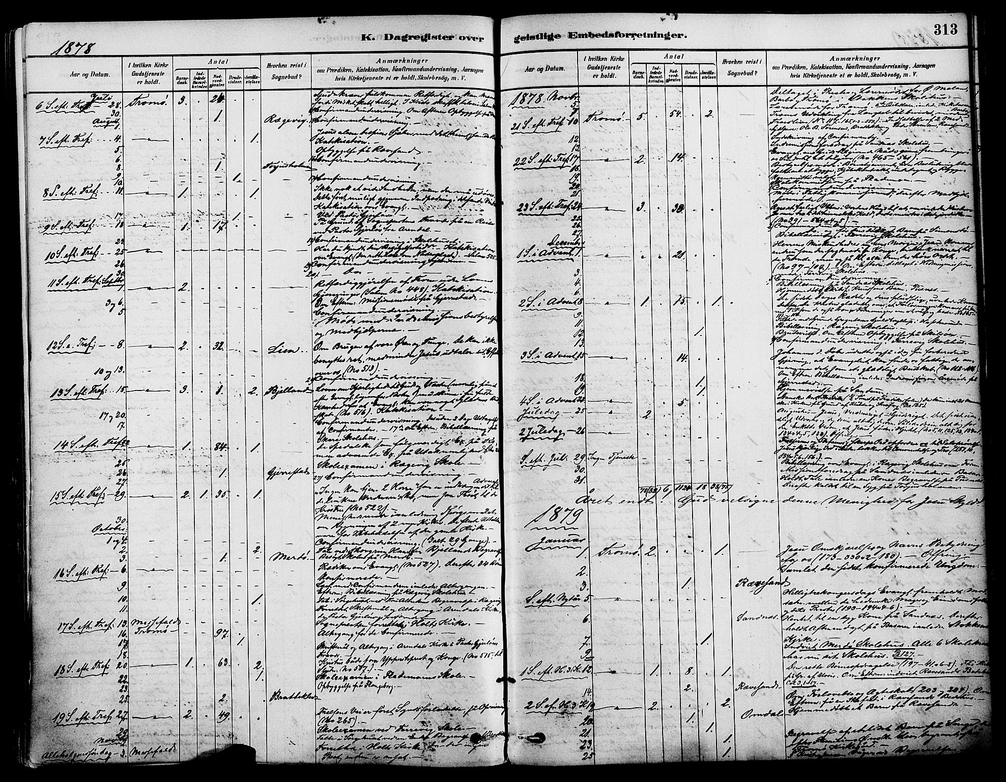 Tromøy sokneprestkontor, AV/SAK-1111-0041/F/Fa/L0009: Parish register (official) no. A 9, 1878-1896, p. 313