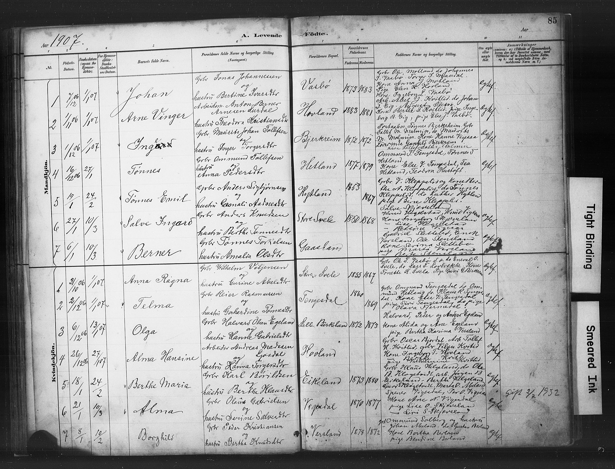 Helleland sokneprestkontor, AV/SAST-A-101810: Parish register (copy) no. B 5, 1887-1908, p. 85