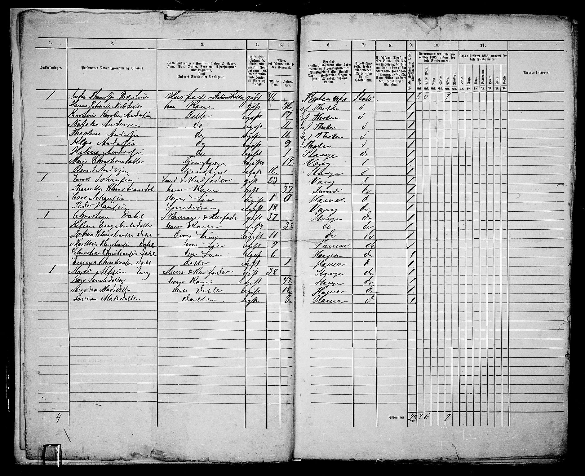 RA, 1865 census for Vang/Hamar, 1865, p. 8