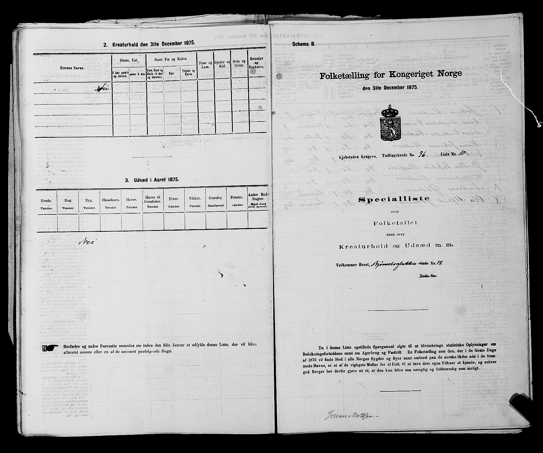 SAKO, 1875 census for 0801P Kragerø, 1875, p. 823